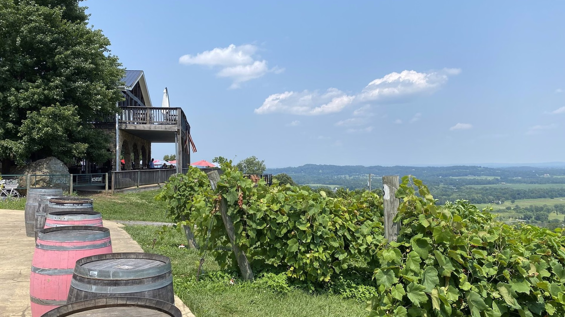 Bluemont Vineyard — photo 2