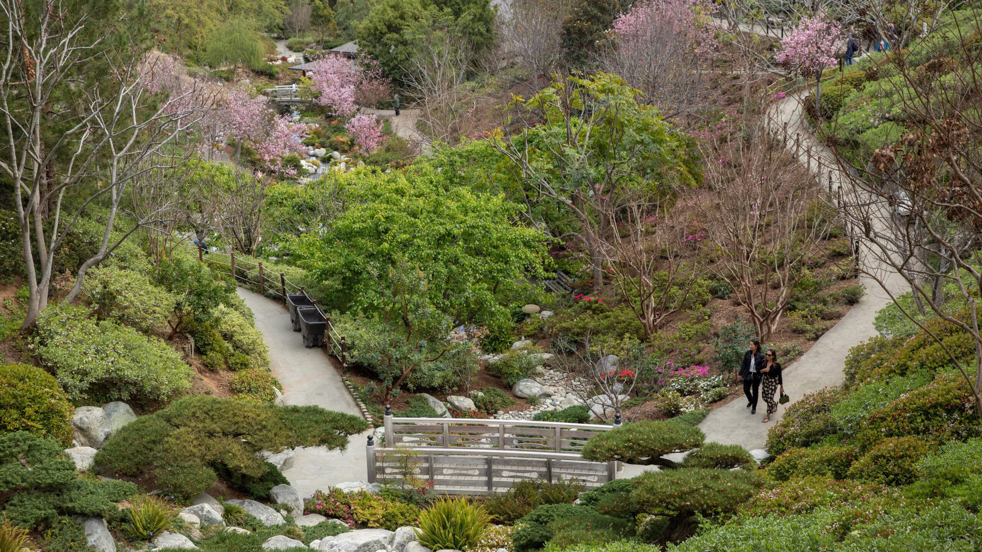 Japanese Friendship Garden — photo 1