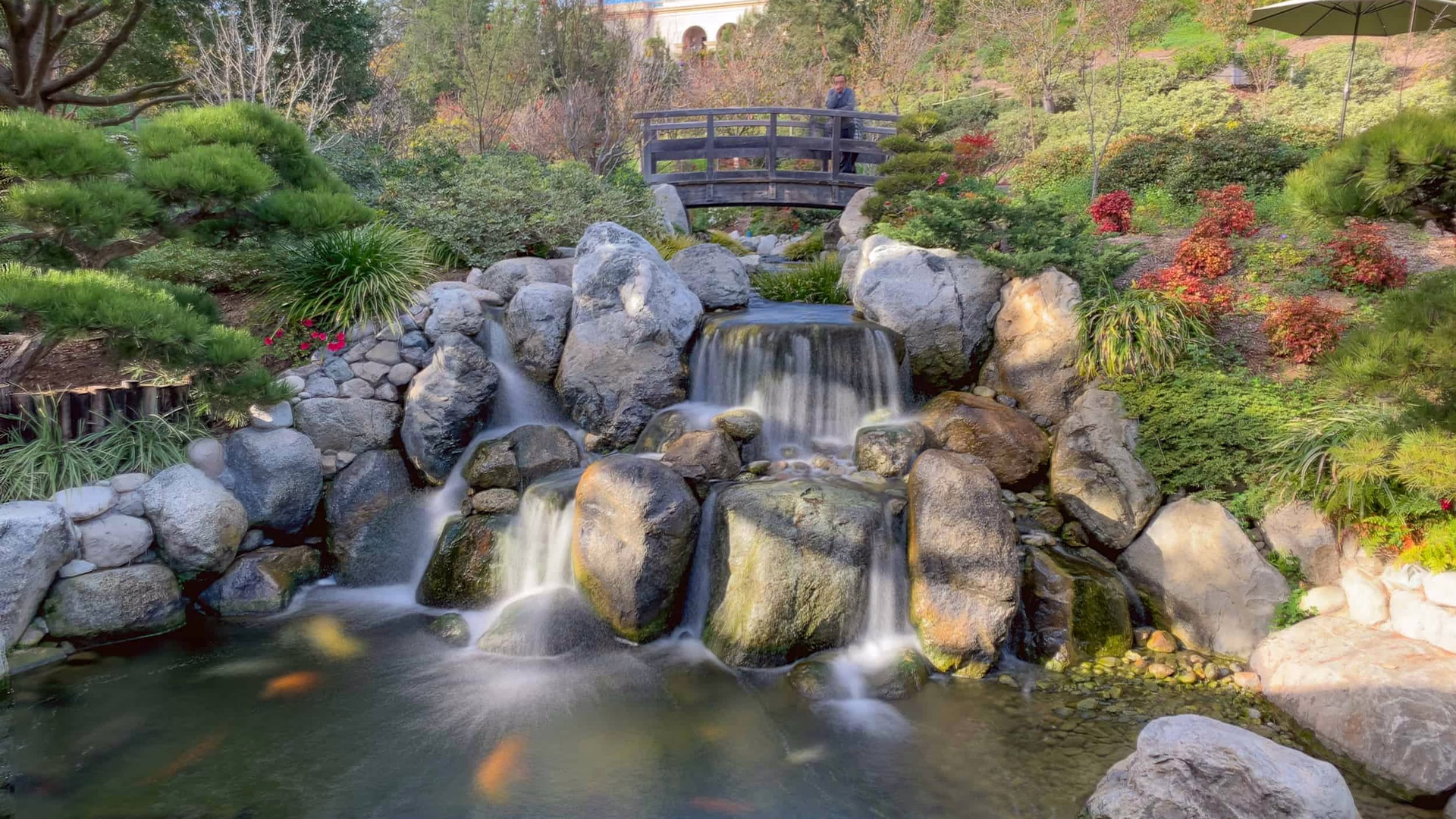 Japanese Friendship Garden — photo 2
