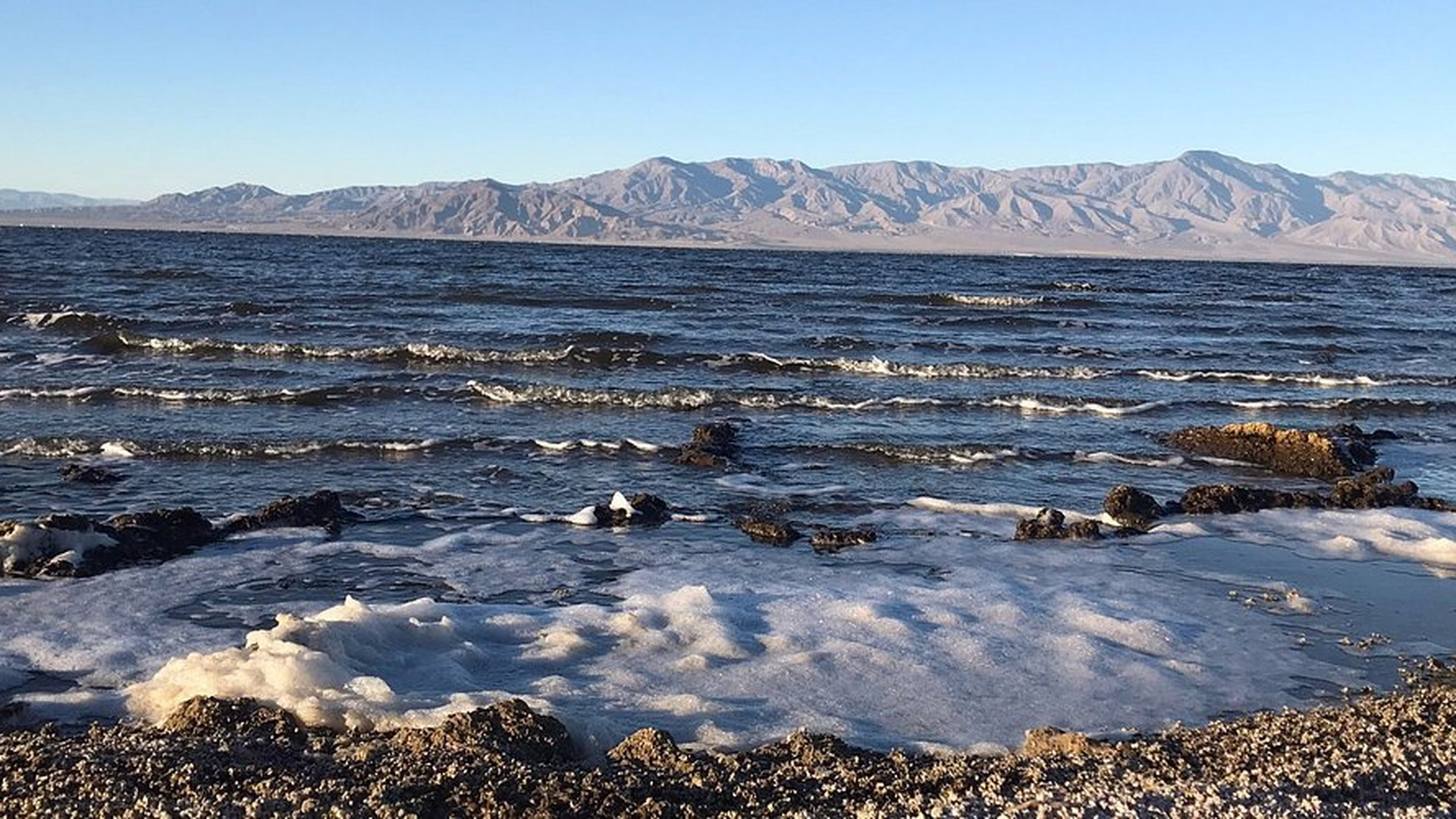 Salton Sea State Recreation Area — photo 2