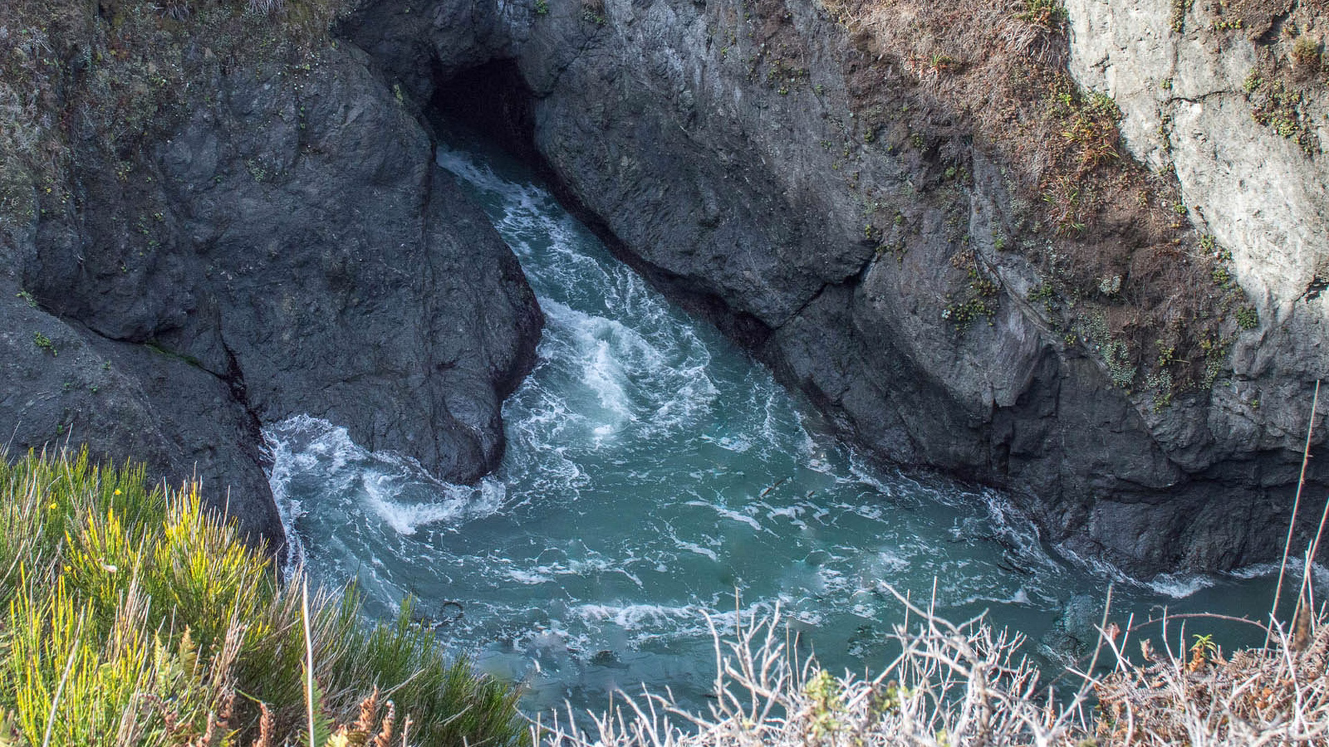 Russian Gulch State Park — photo 2