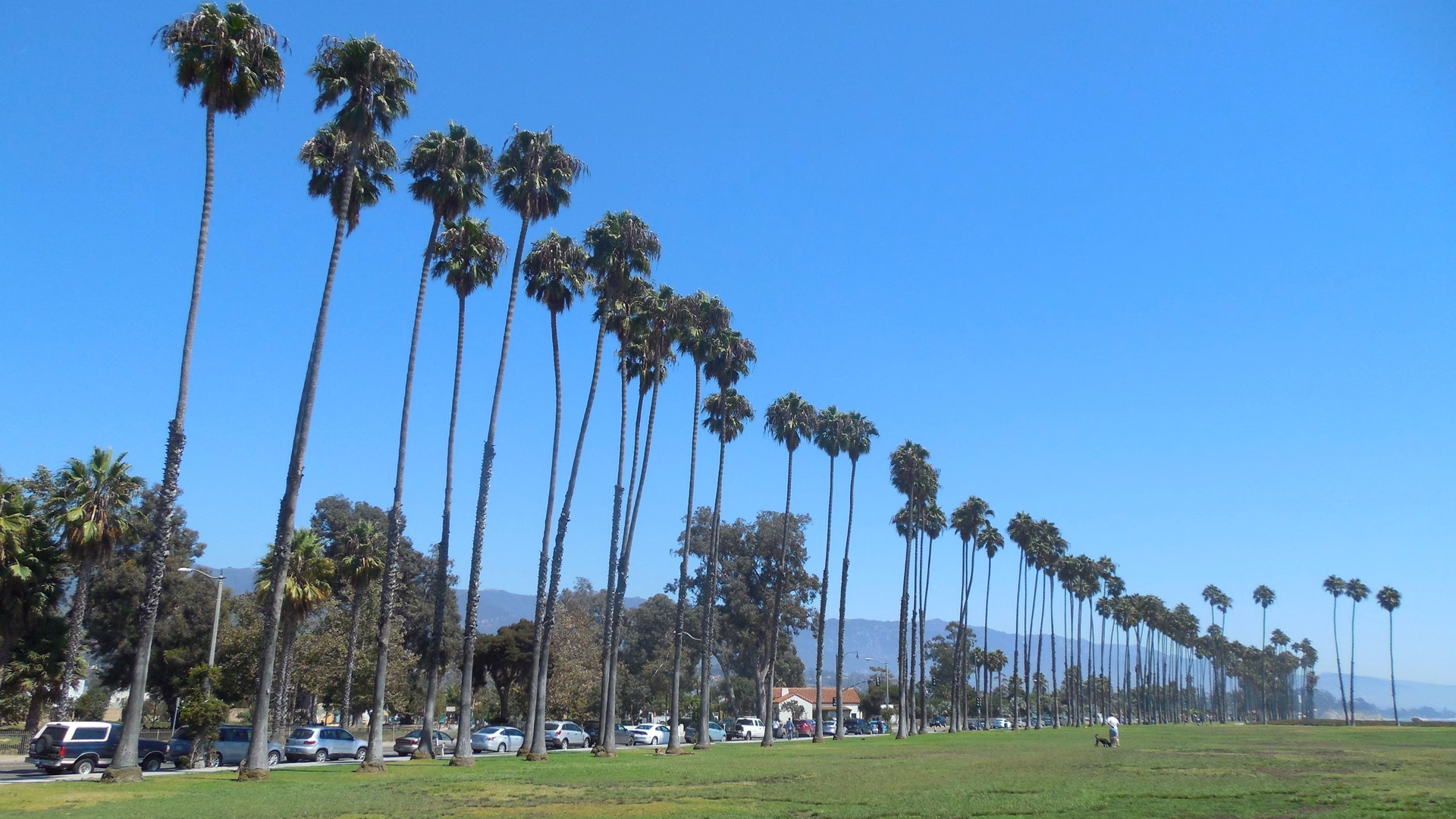 East Beach — photo 1