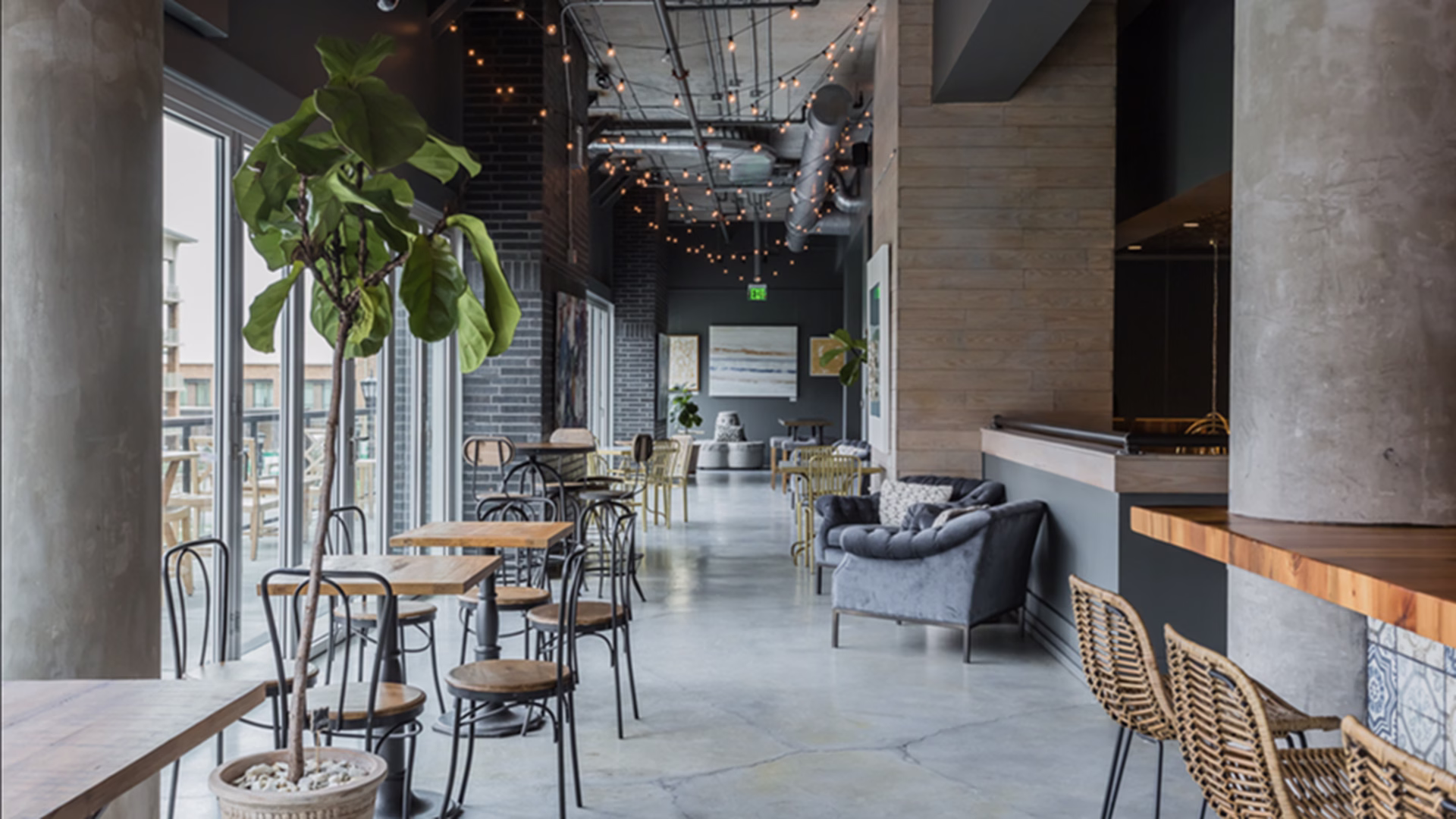 Vita Vite Midtown — photo 2