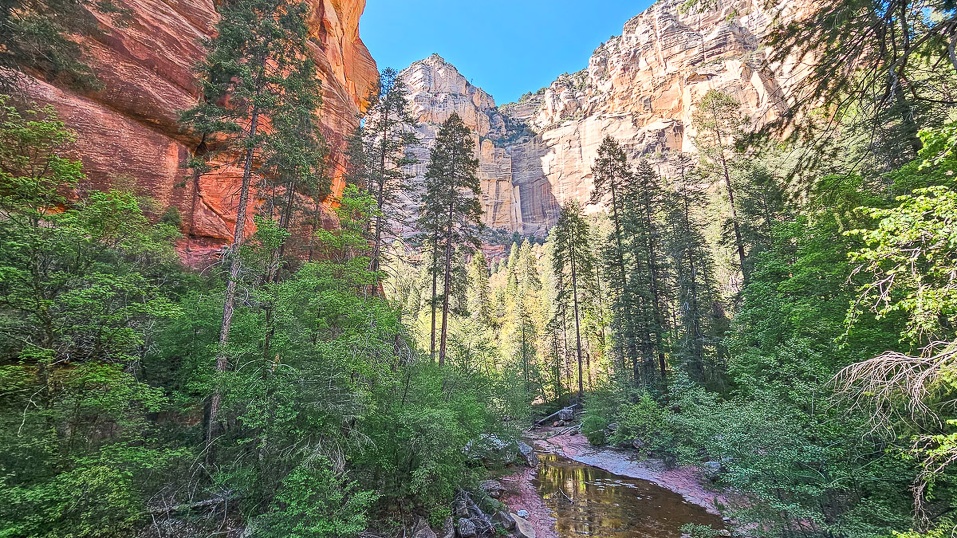 West Fork Oak Creek Trail — photo 1