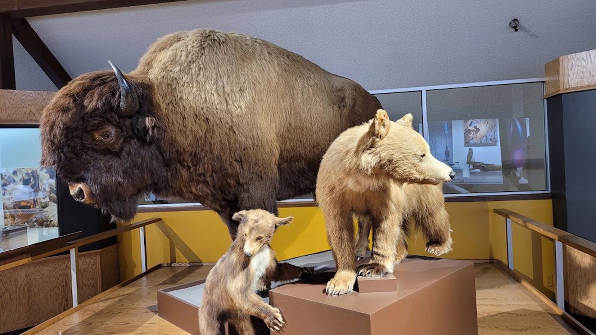 San Bernardino County Museum — photo 2
