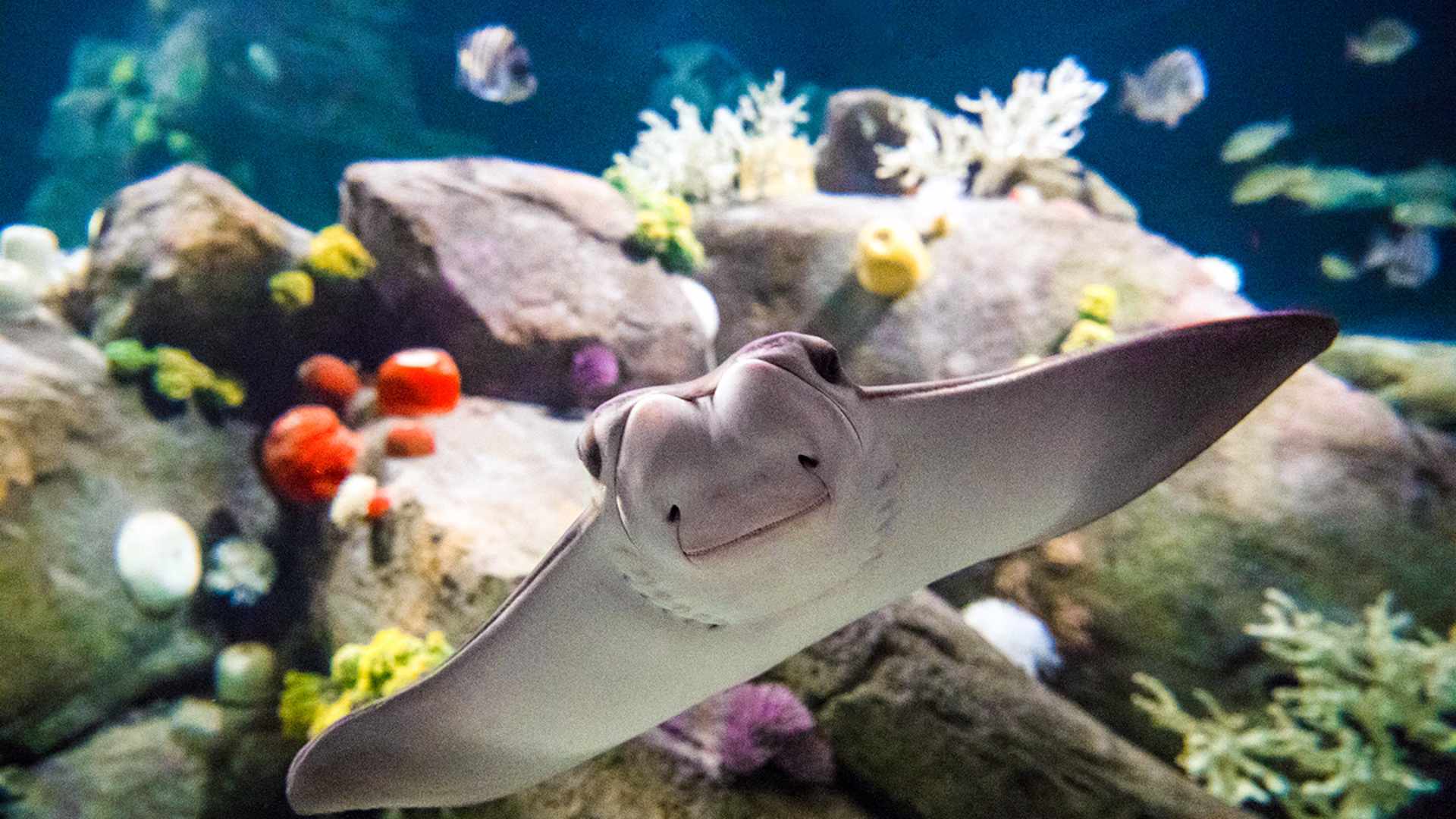 New York Aquarium — photo 2
