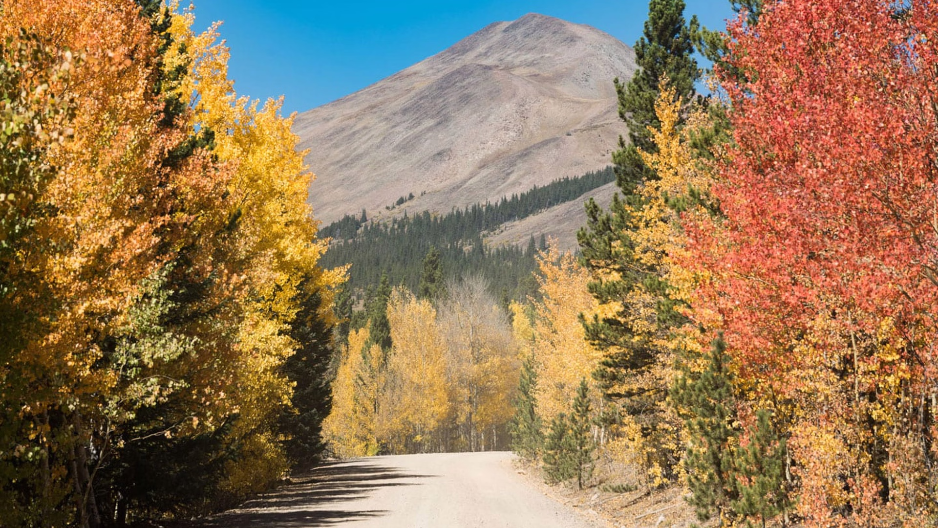 Boreas Pass — photo 1