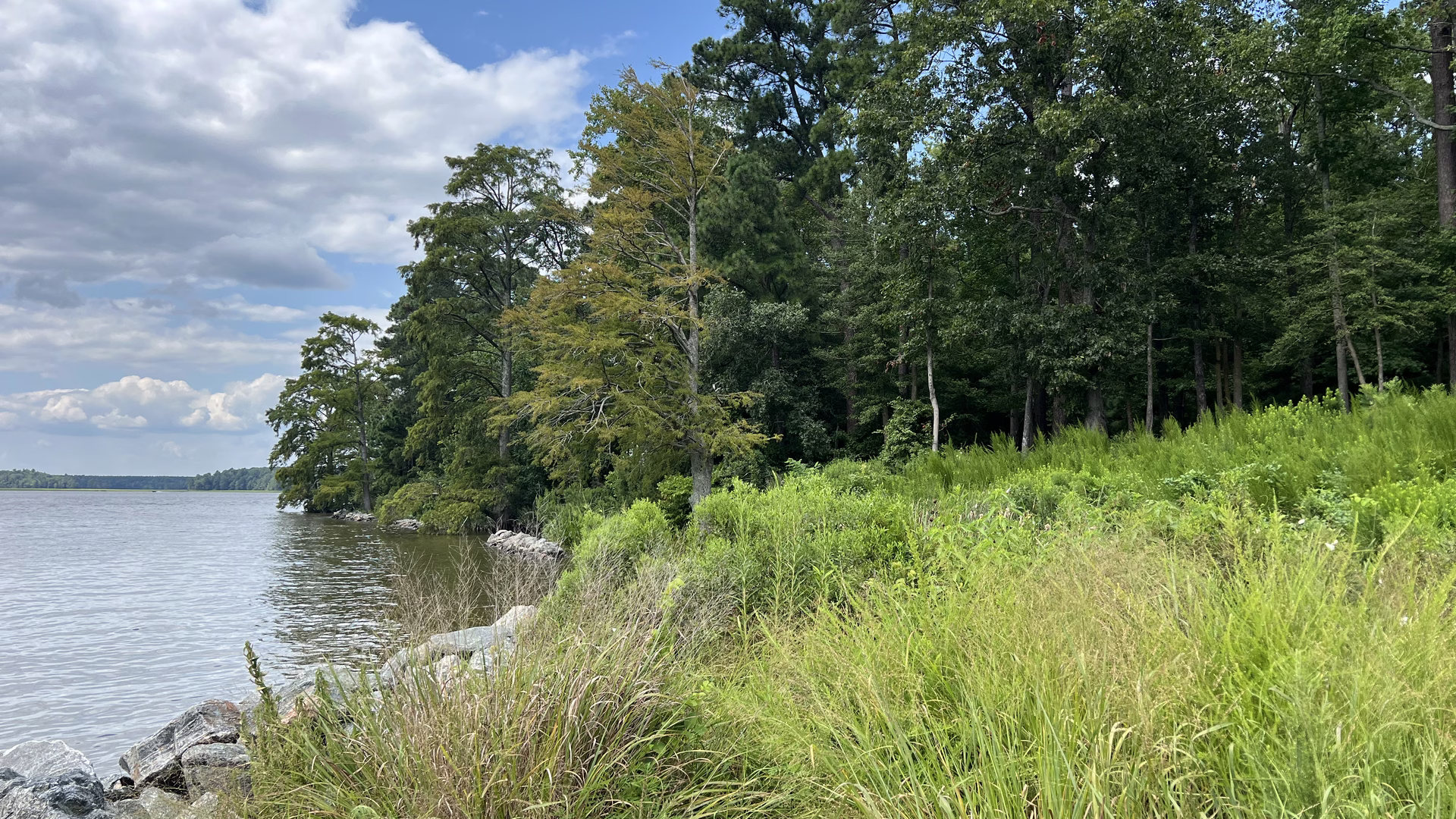 Chickahominy Riverfront Park — photo 1