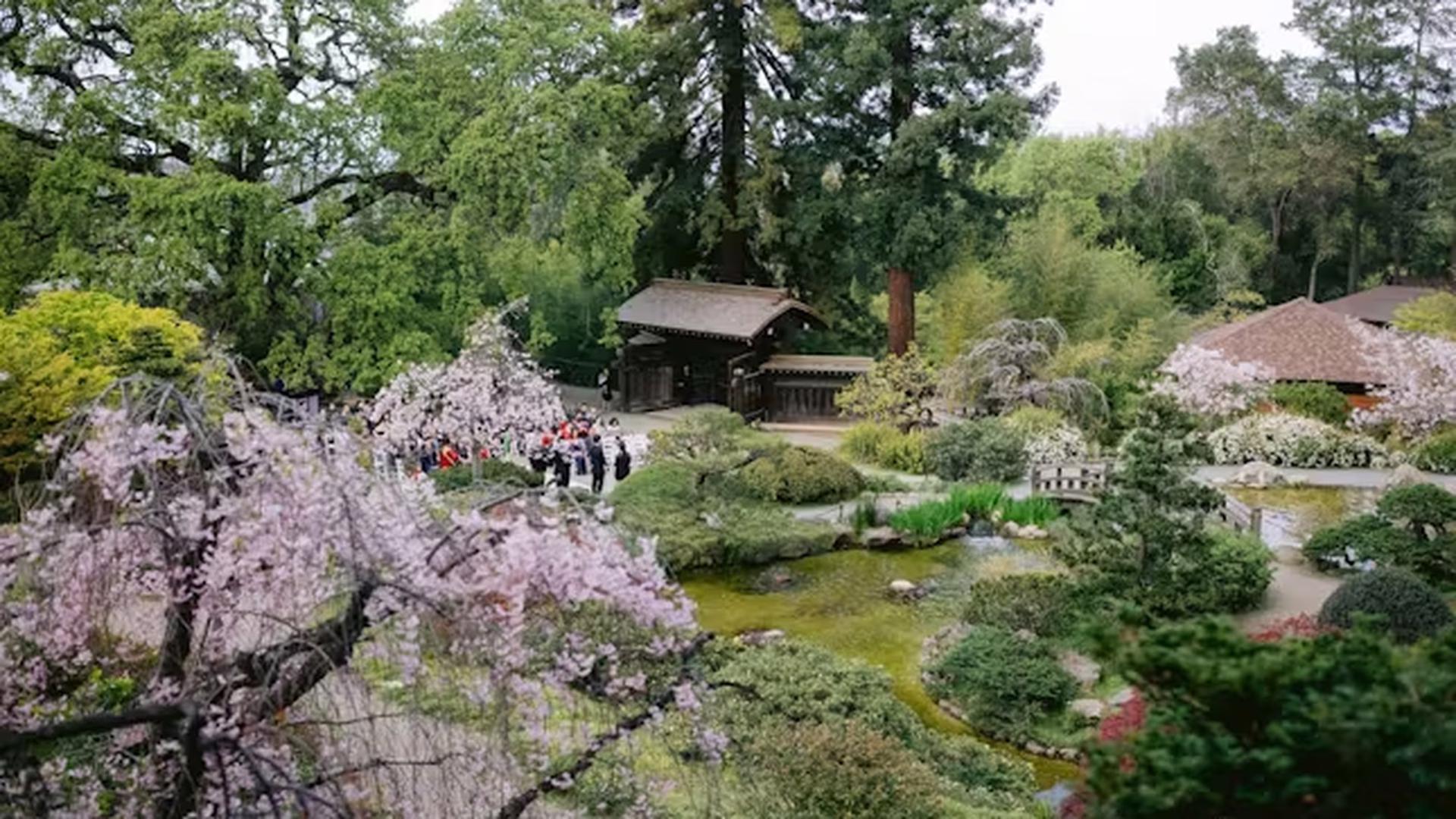 Hakone Estate and Gardens — photo 1