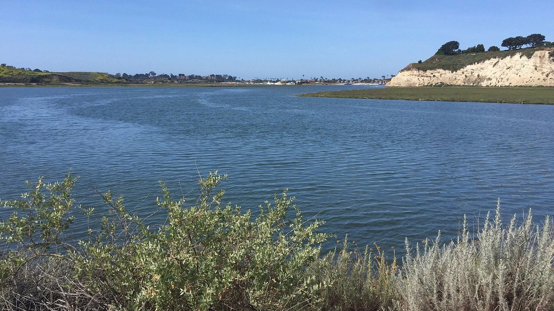 Upper Newport Bay Nature Preserve — photo 1