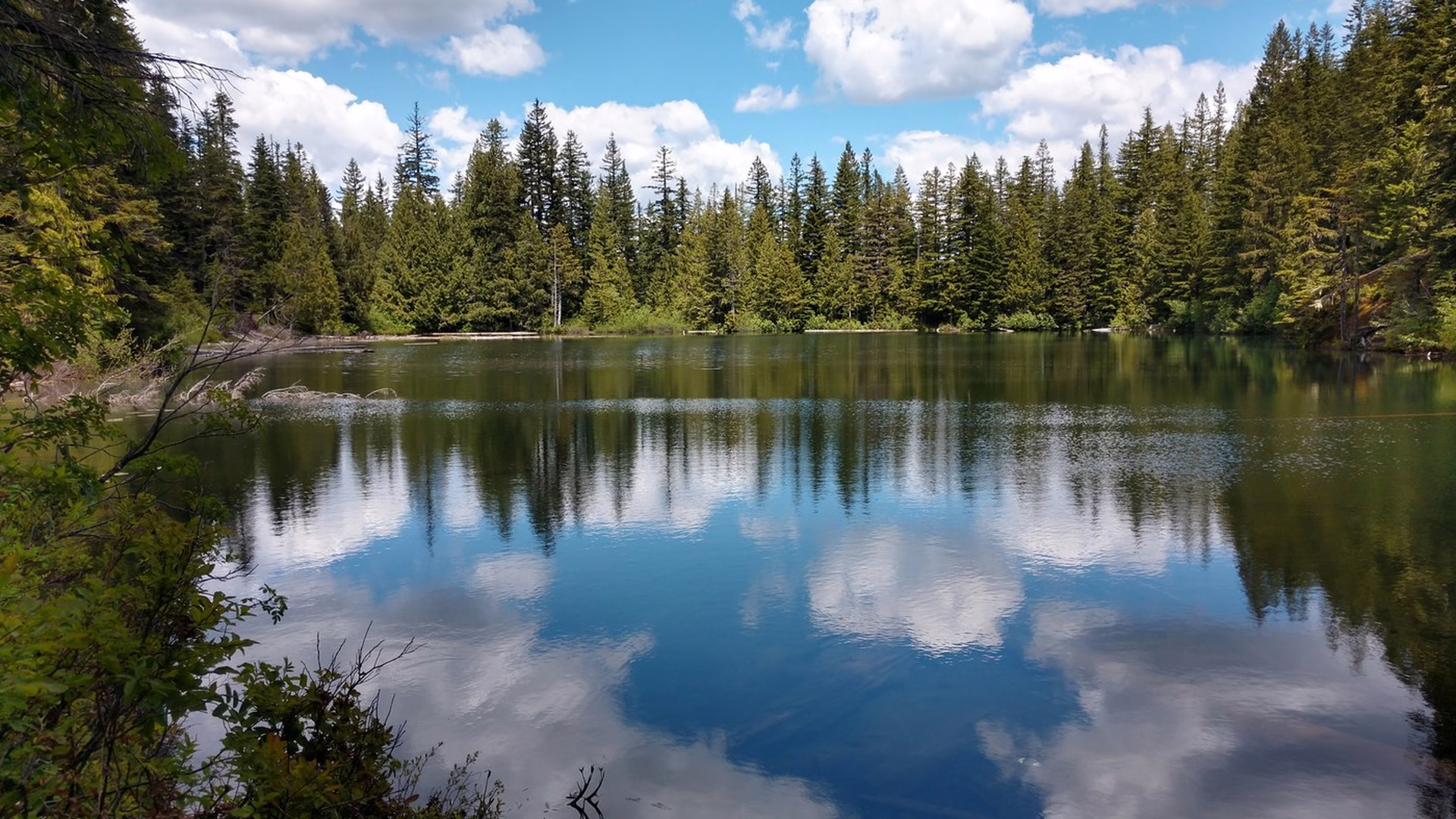 Bluff Lake Reserve — photo 1