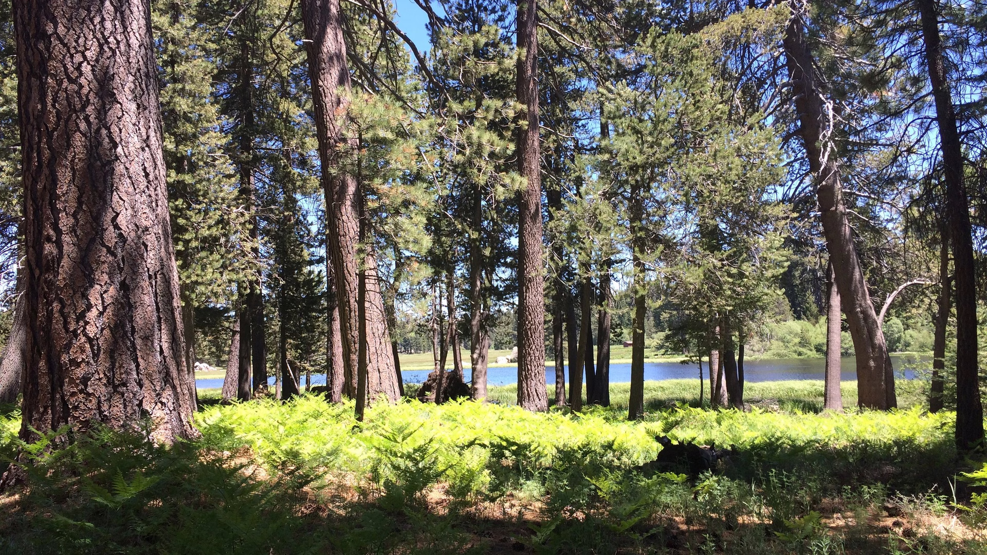 Bluff Lake Reserve — photo 2