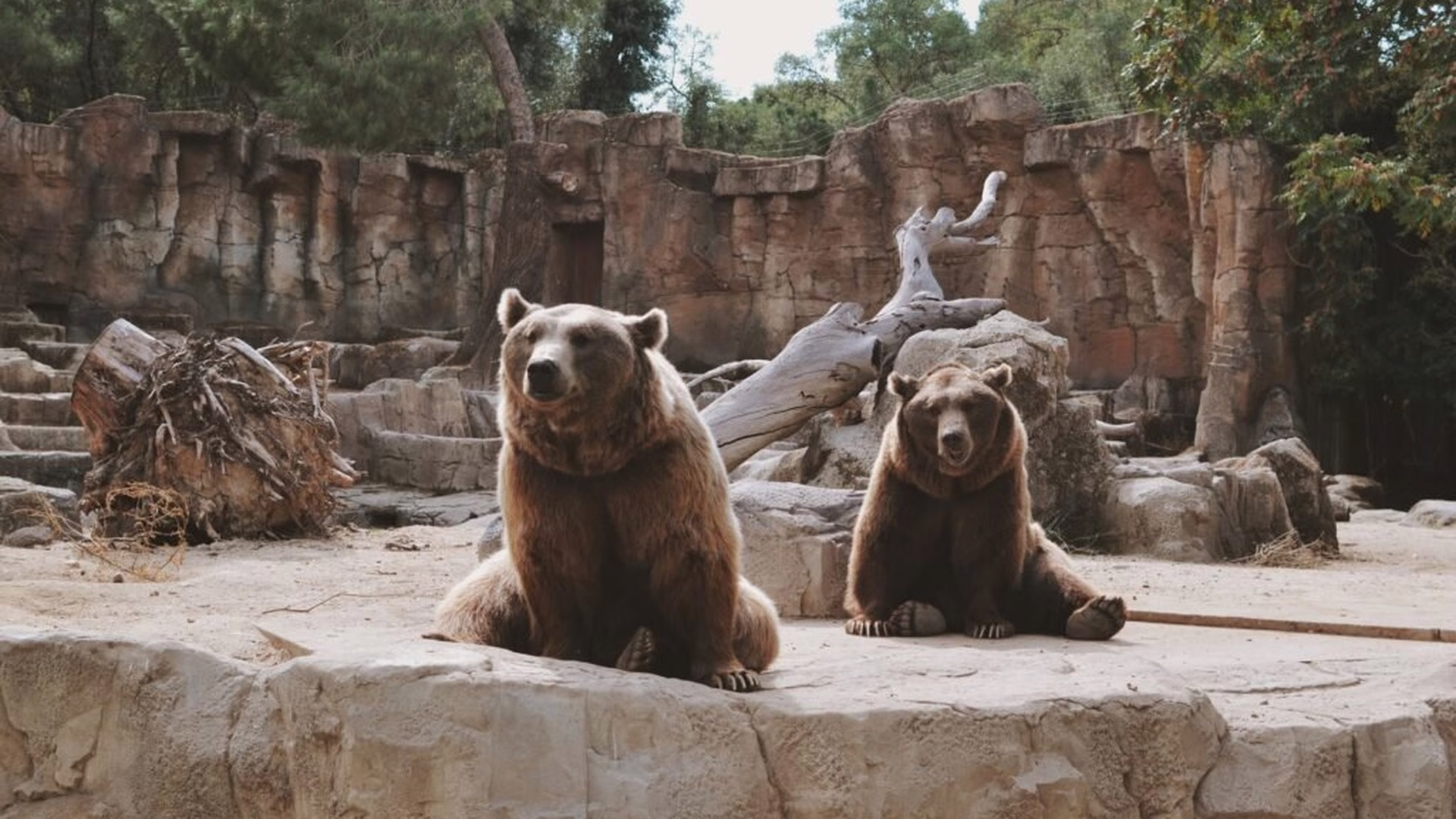 Santa Ana Zoo — photo 2