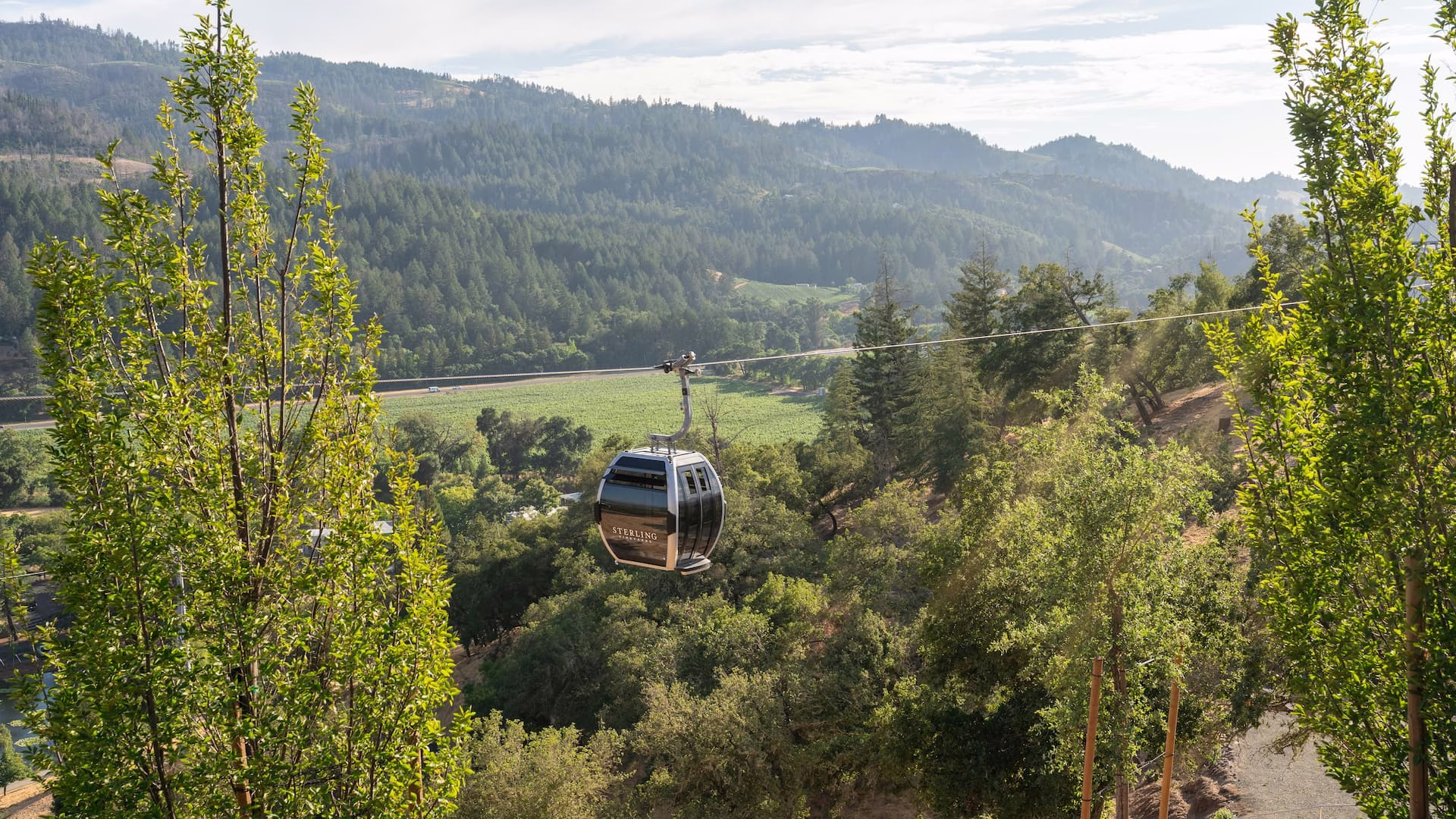 Sterling Vineyards — photo 1