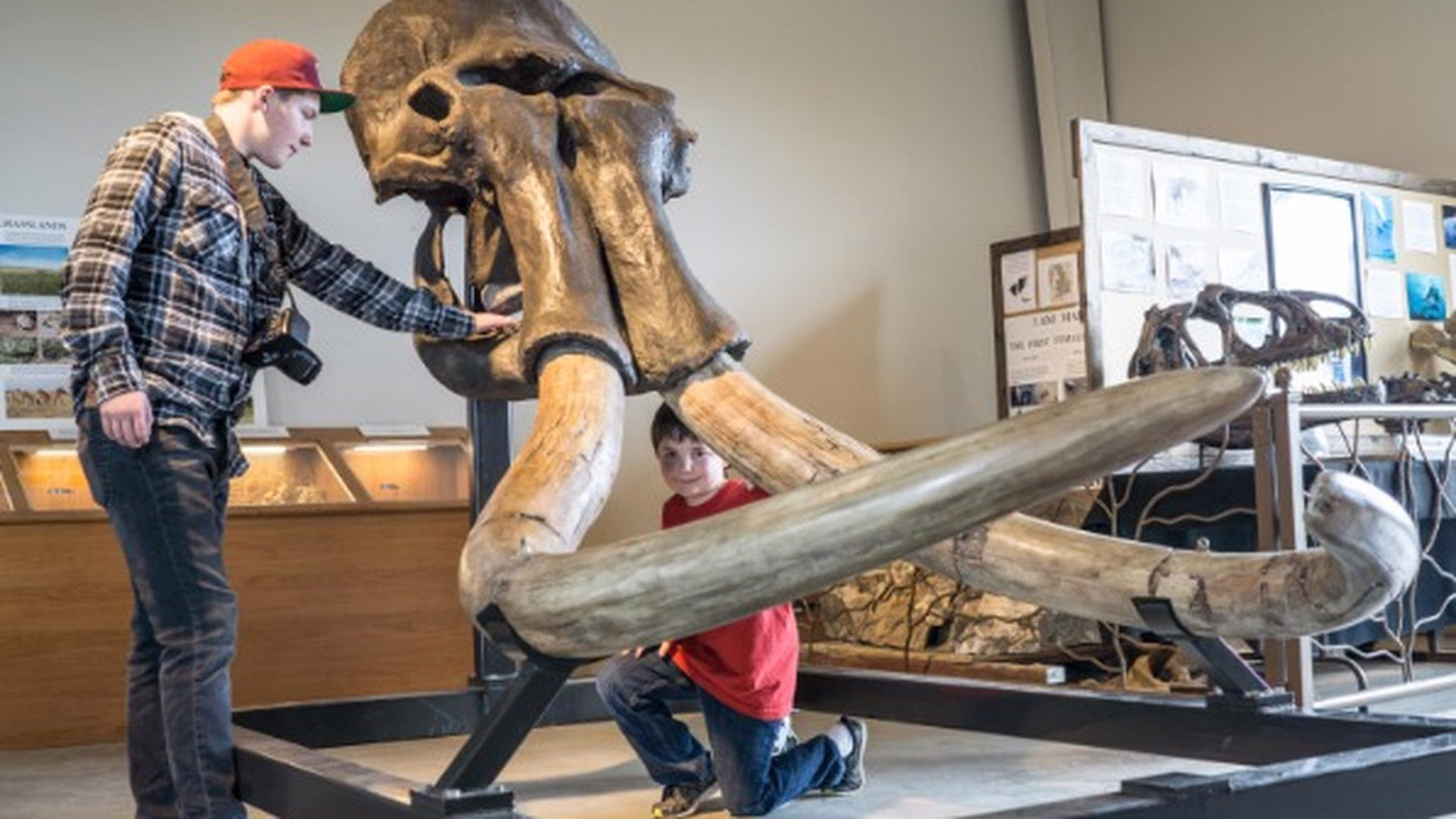 Fossil Discovery Center of Madera County — photo 2