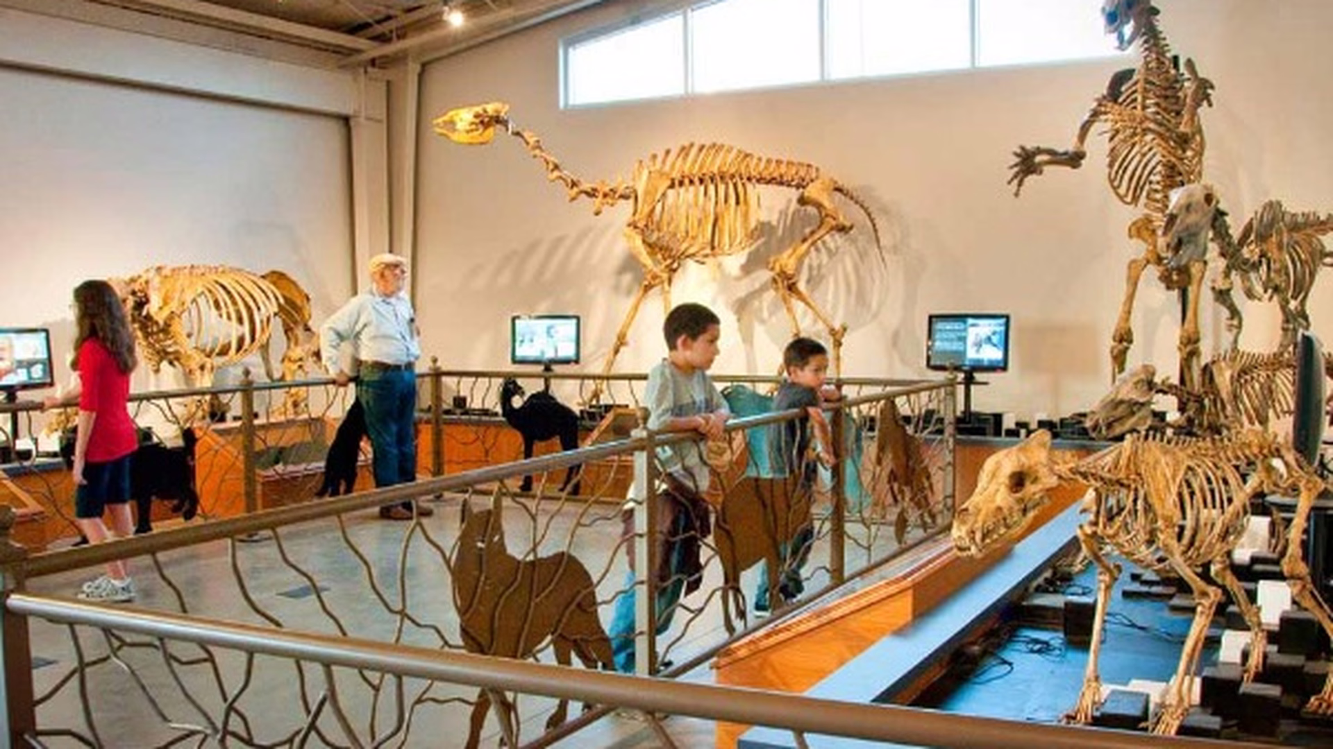Fossil Discovery Center of Madera County — photo 1