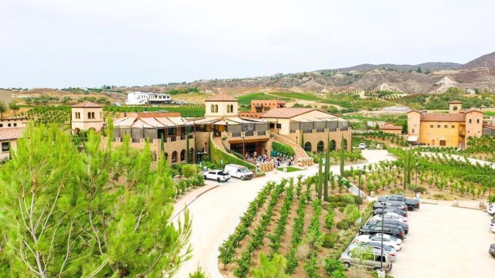 Fazeli Cellars Winery — photo 1