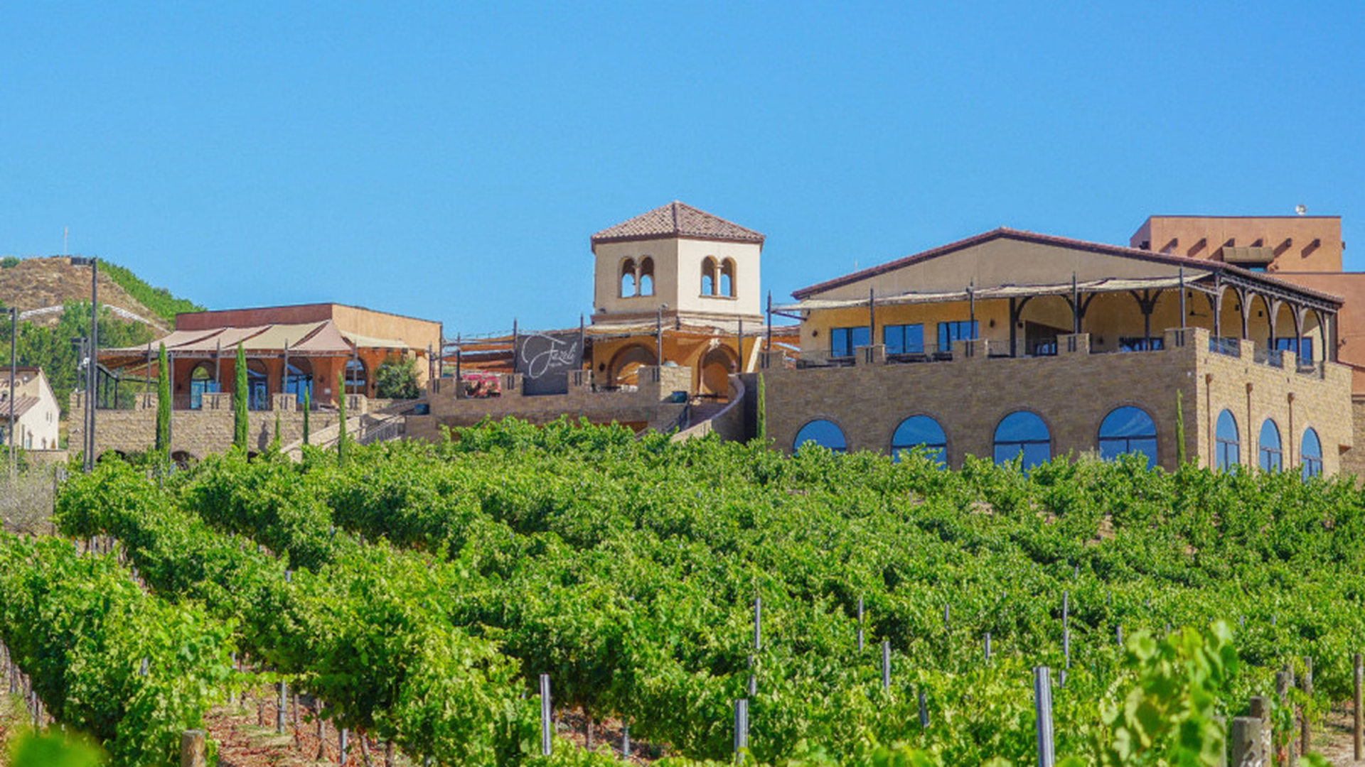 Fazeli Cellars Winery — photo 2