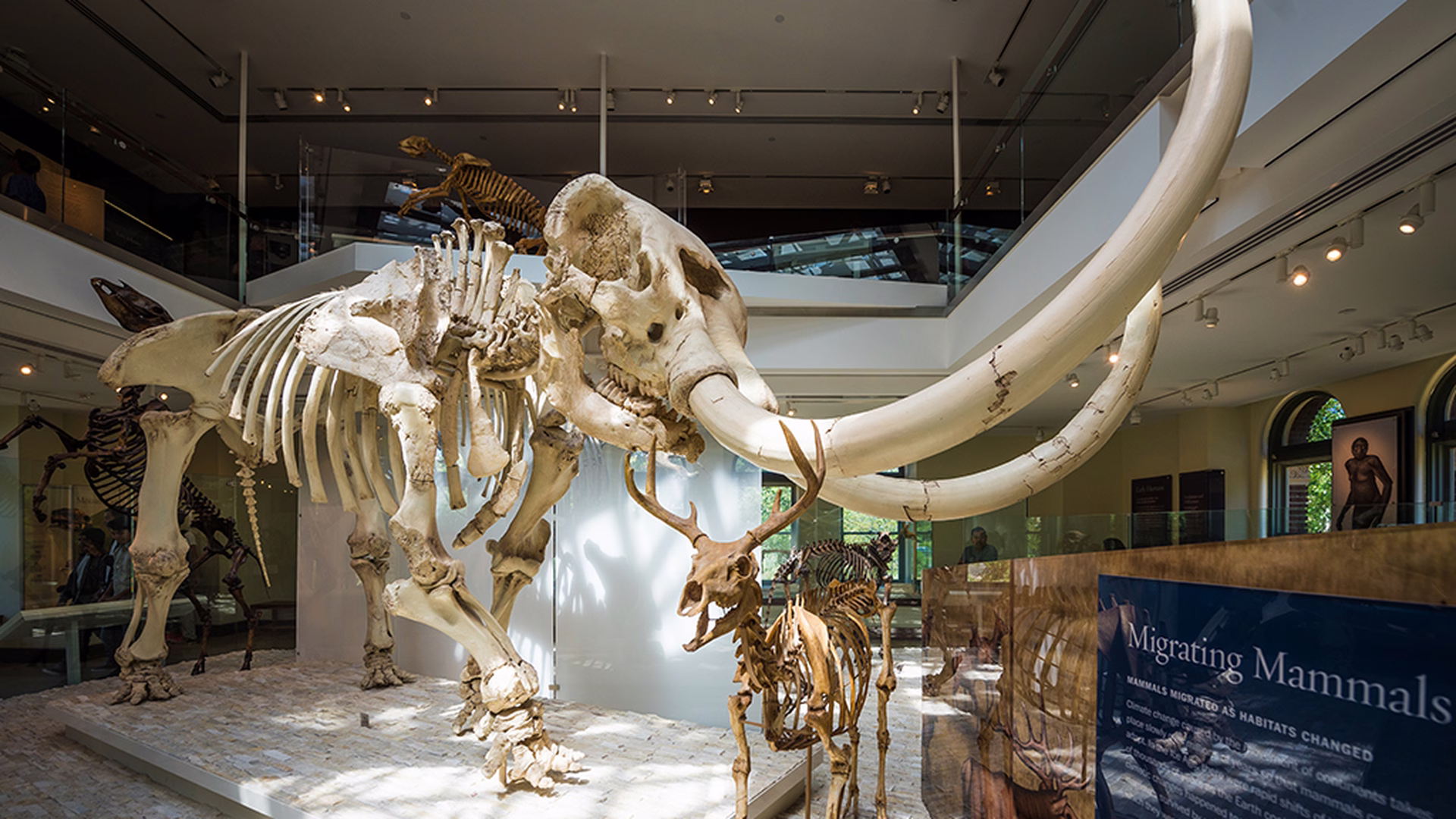 Natural History Museum of Los Angeles County — photo 2