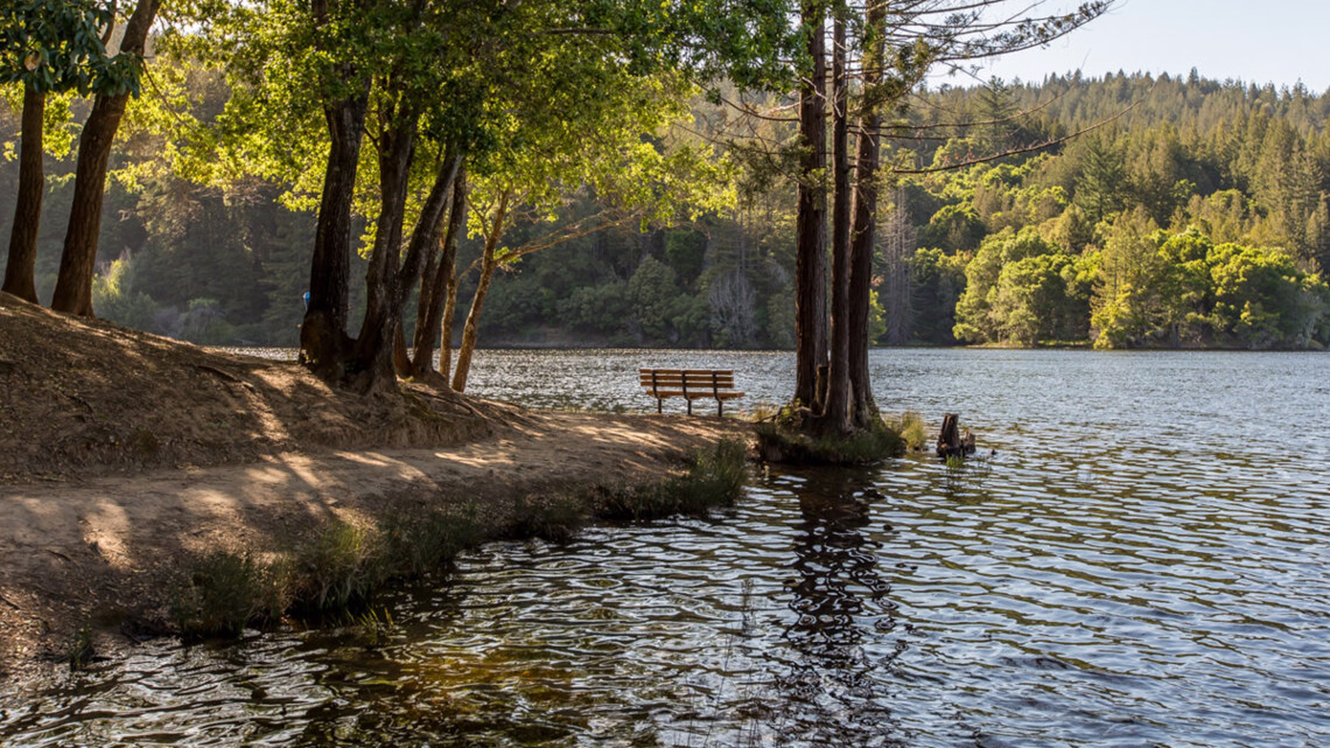 Loch Lomond Recreation Area — photo 1