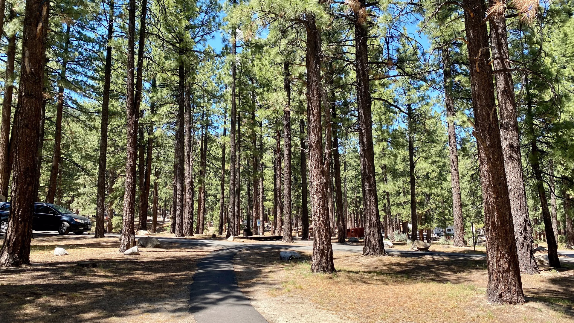 Davis Creek Regional Park — photo 1
