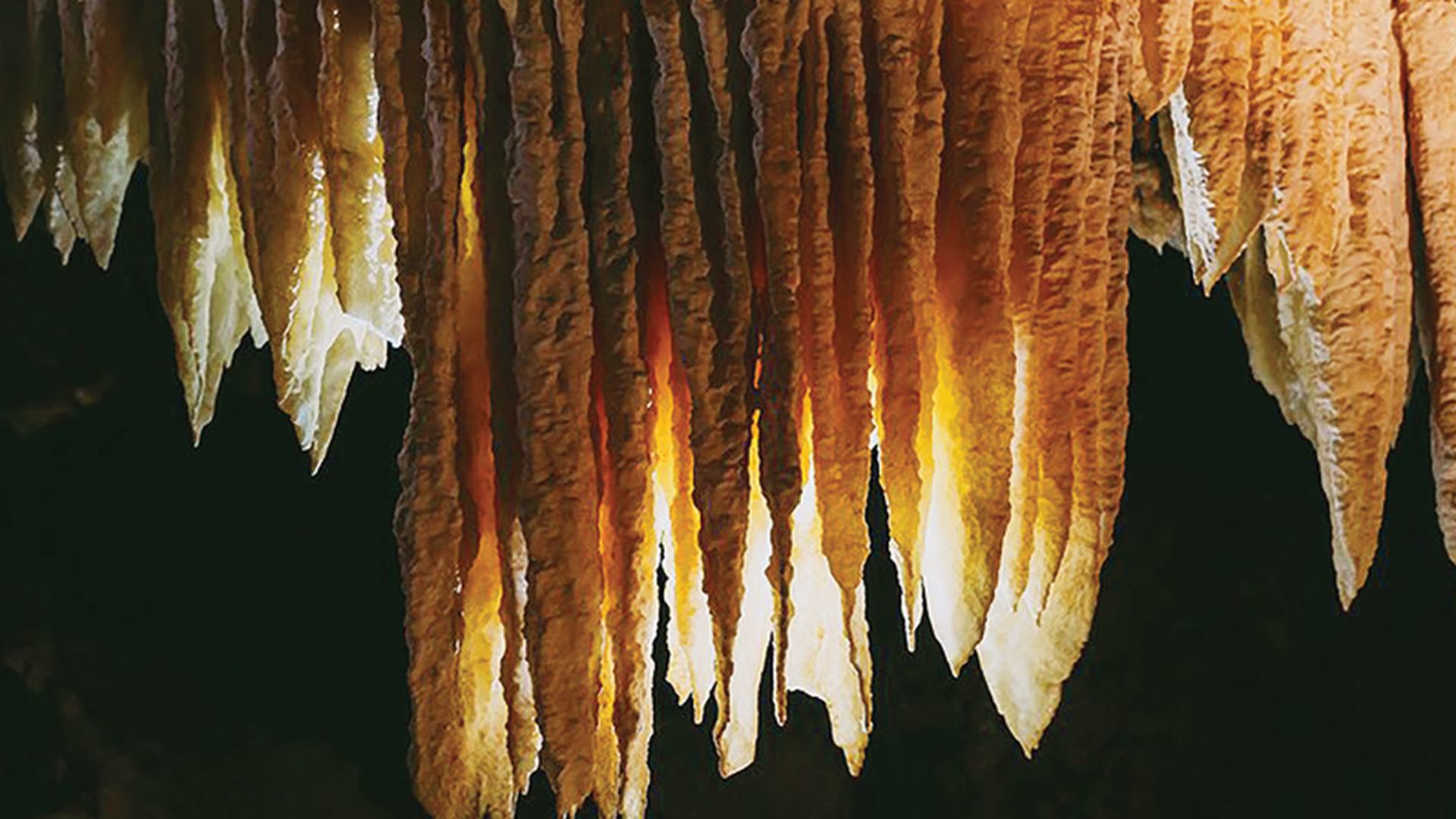 Black Chasm Cavern — photo 1