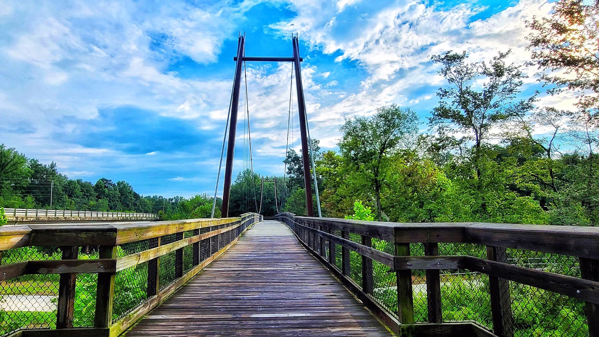 Neuse Crossing Connector Bridge — photo 2