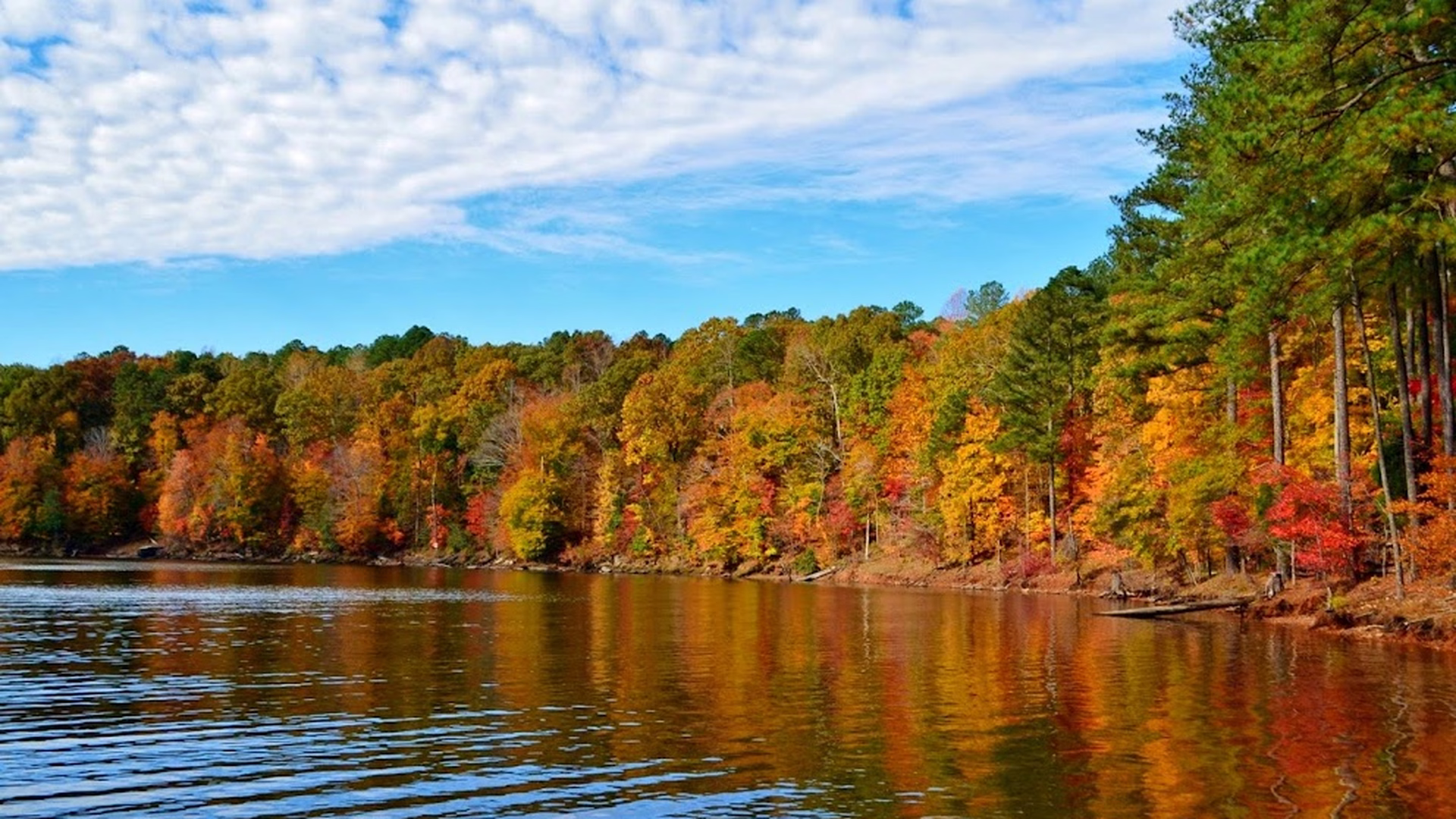 Falls Lake — photo 1