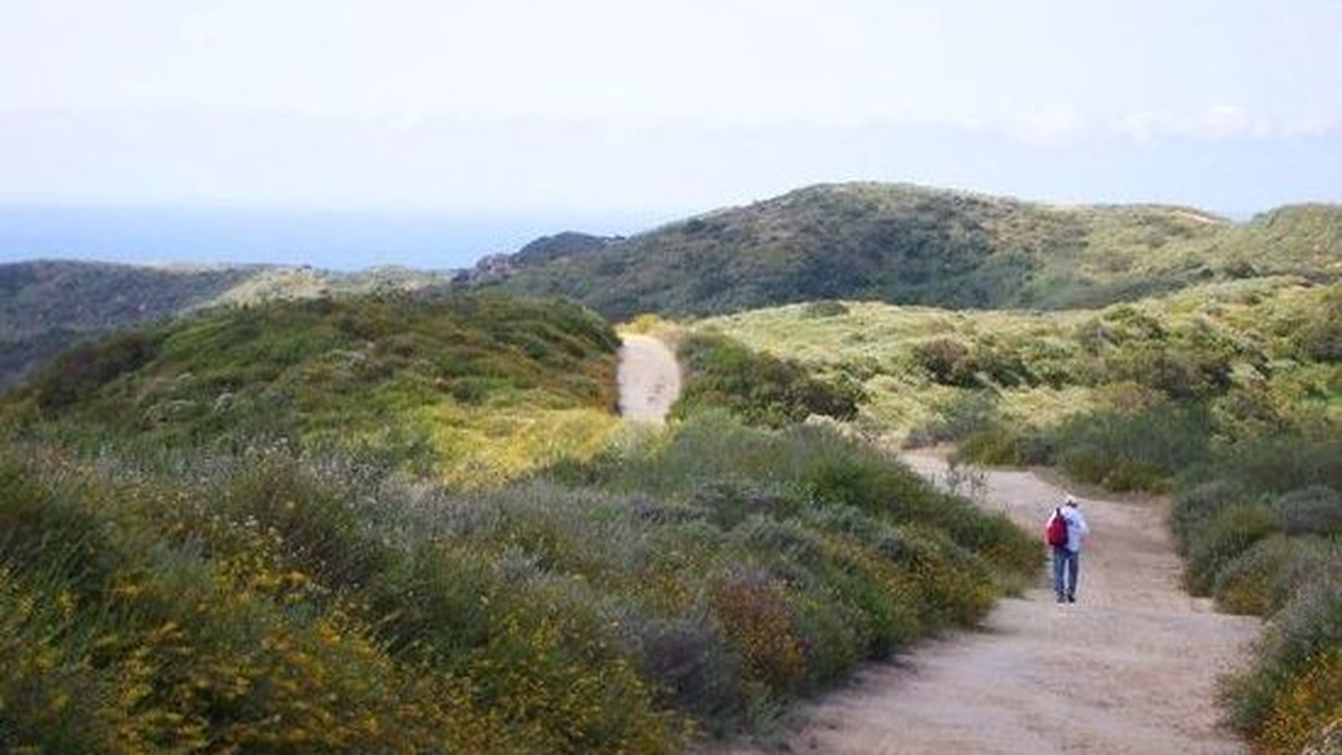 Laguna Coast Wilderness Park — photo 1