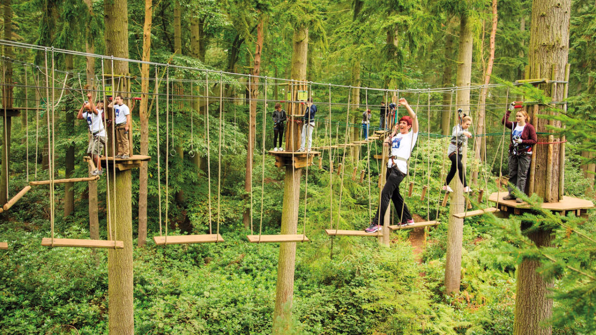 Go Ape Zipline and Adventure Park — photo 1