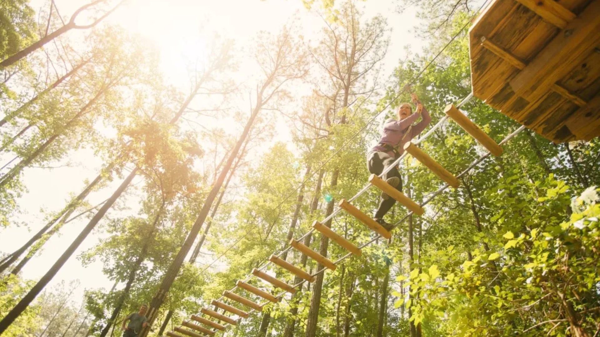 Go Ape Zipline and Adventure Park — photo 2