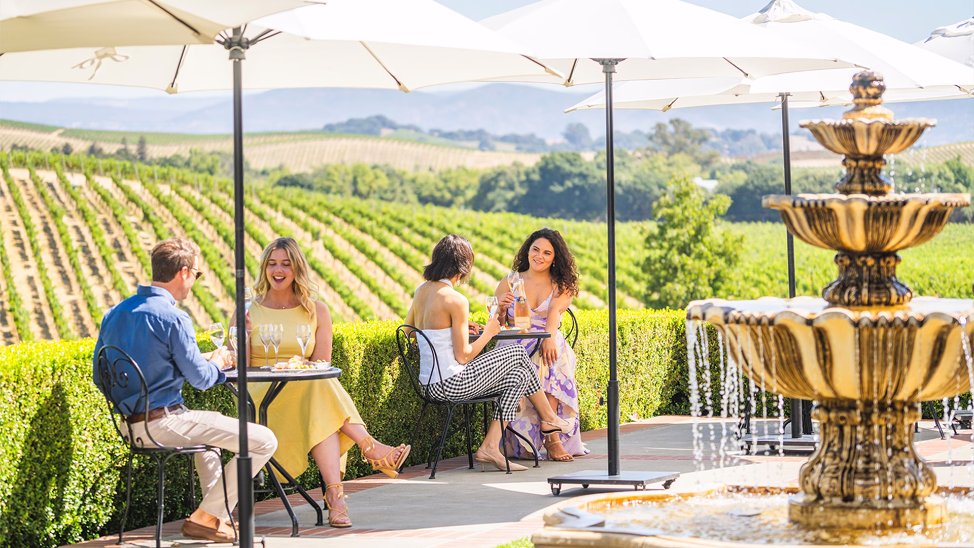 Domaine Carneros — photo 1