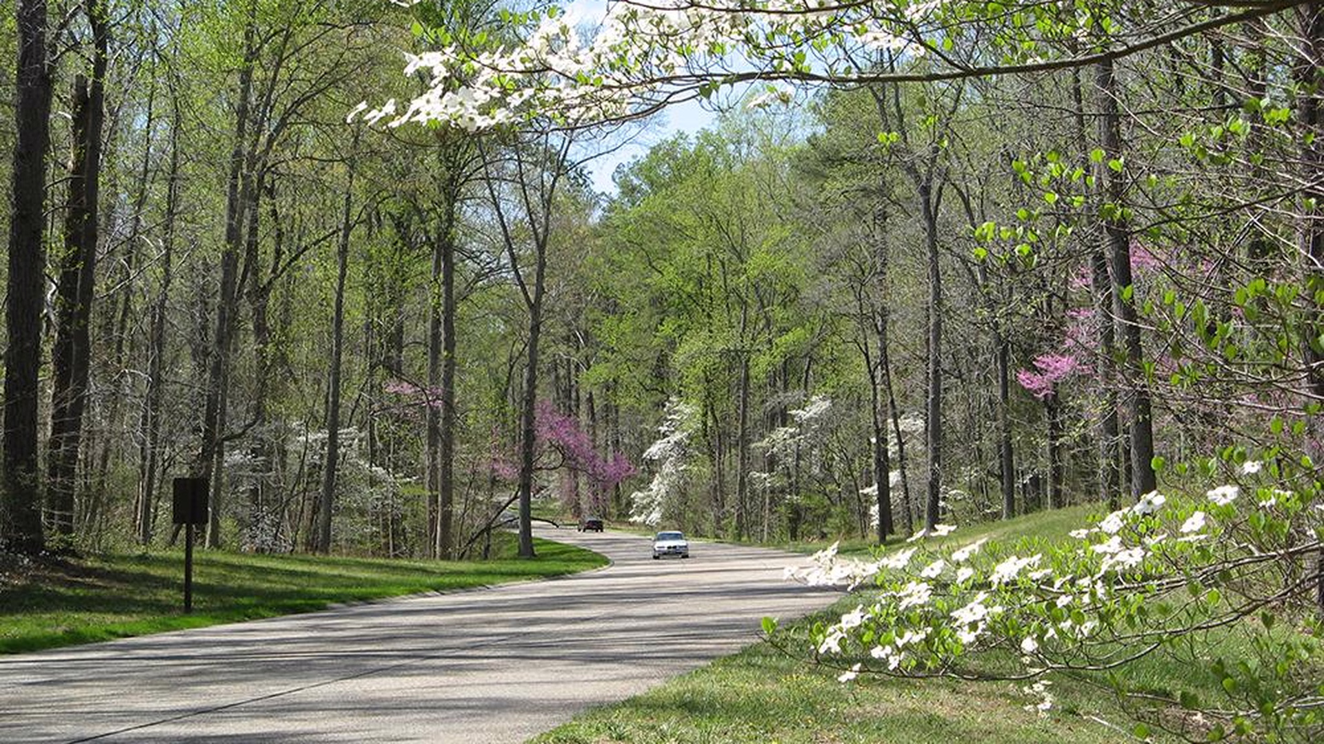 Colonial Parkway — photo 2