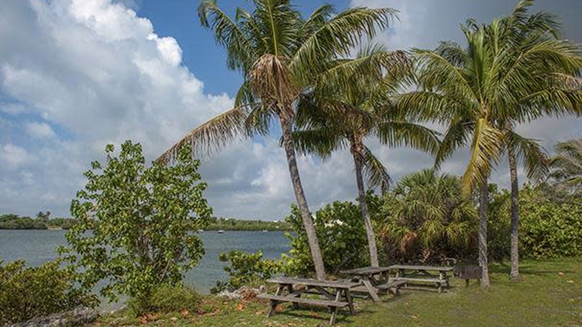 Oleta River State Park — photo 3