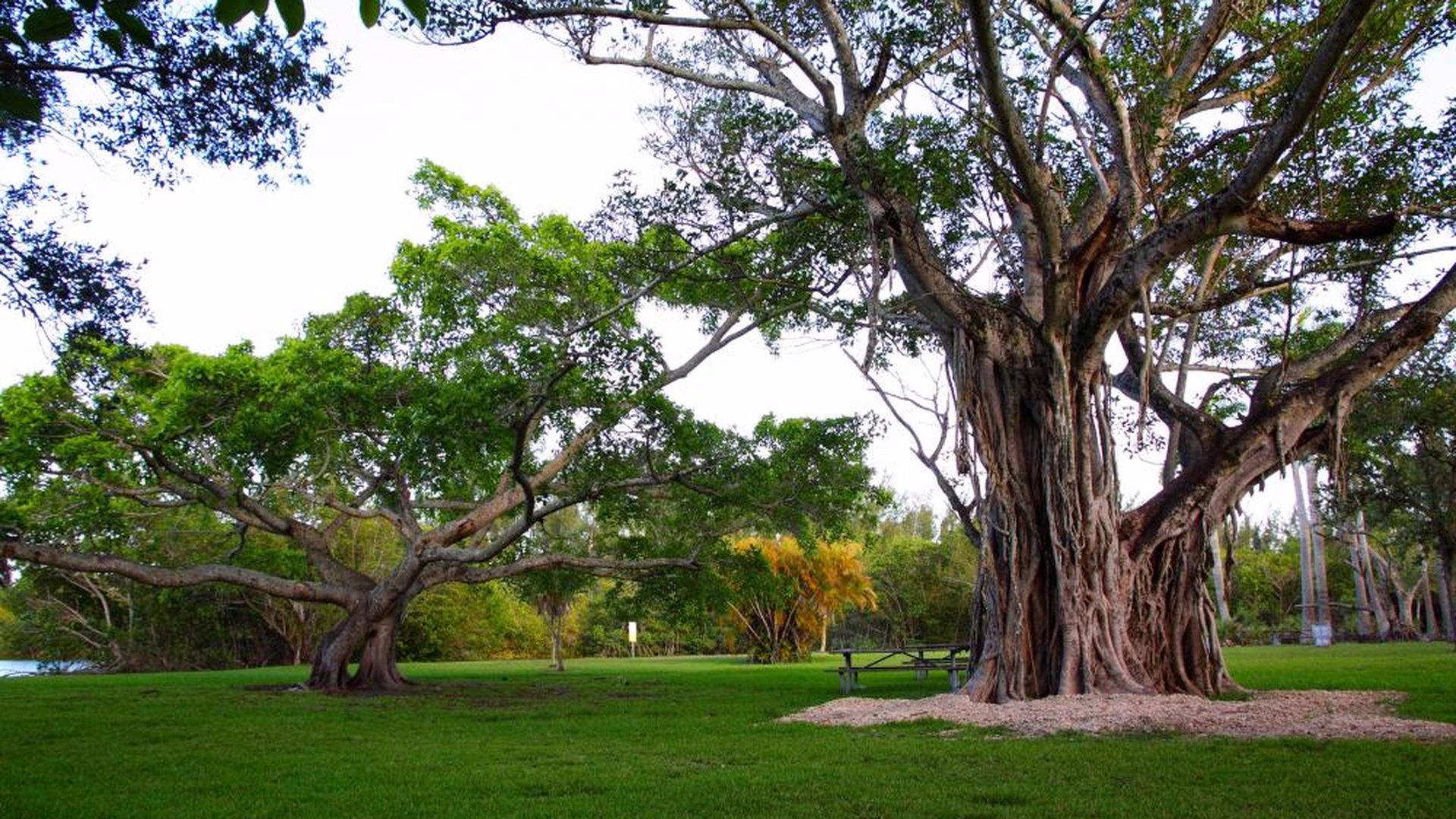 Matheson Hammock Park — photo 1