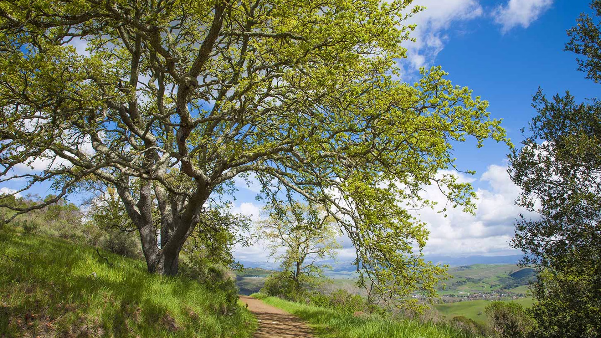 Almaden Quicksilver County Park — photo 1