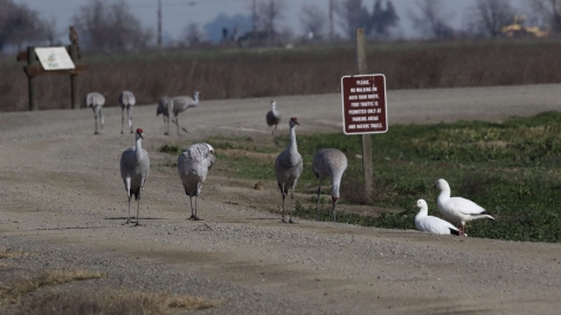 Merced National Wildlife Refuge — photo 2