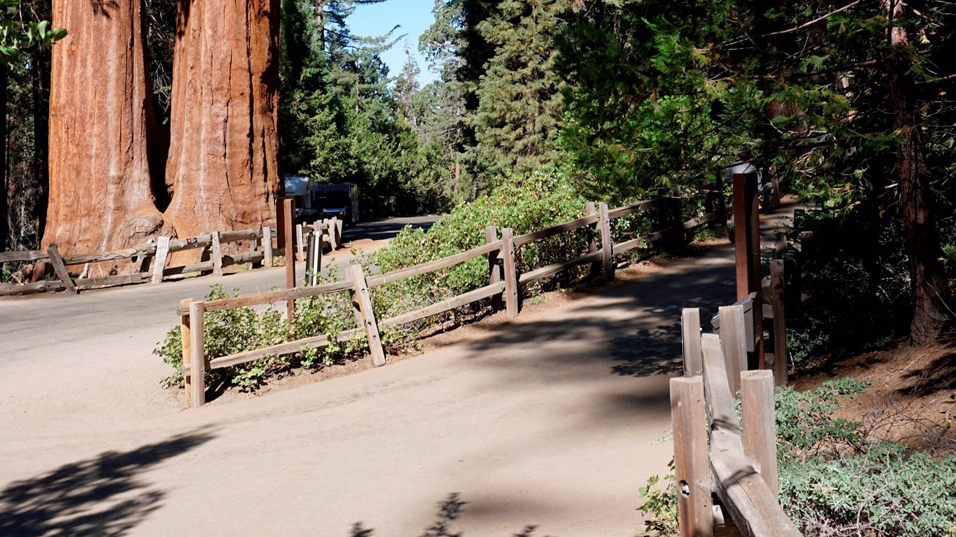 General Grant Tree (Grant Grove) — photo 2
