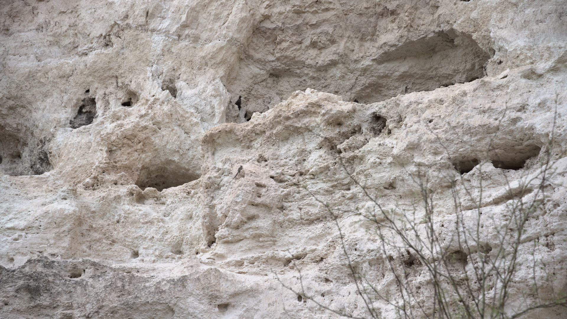Montezuma Castle National Monument — photo 2
