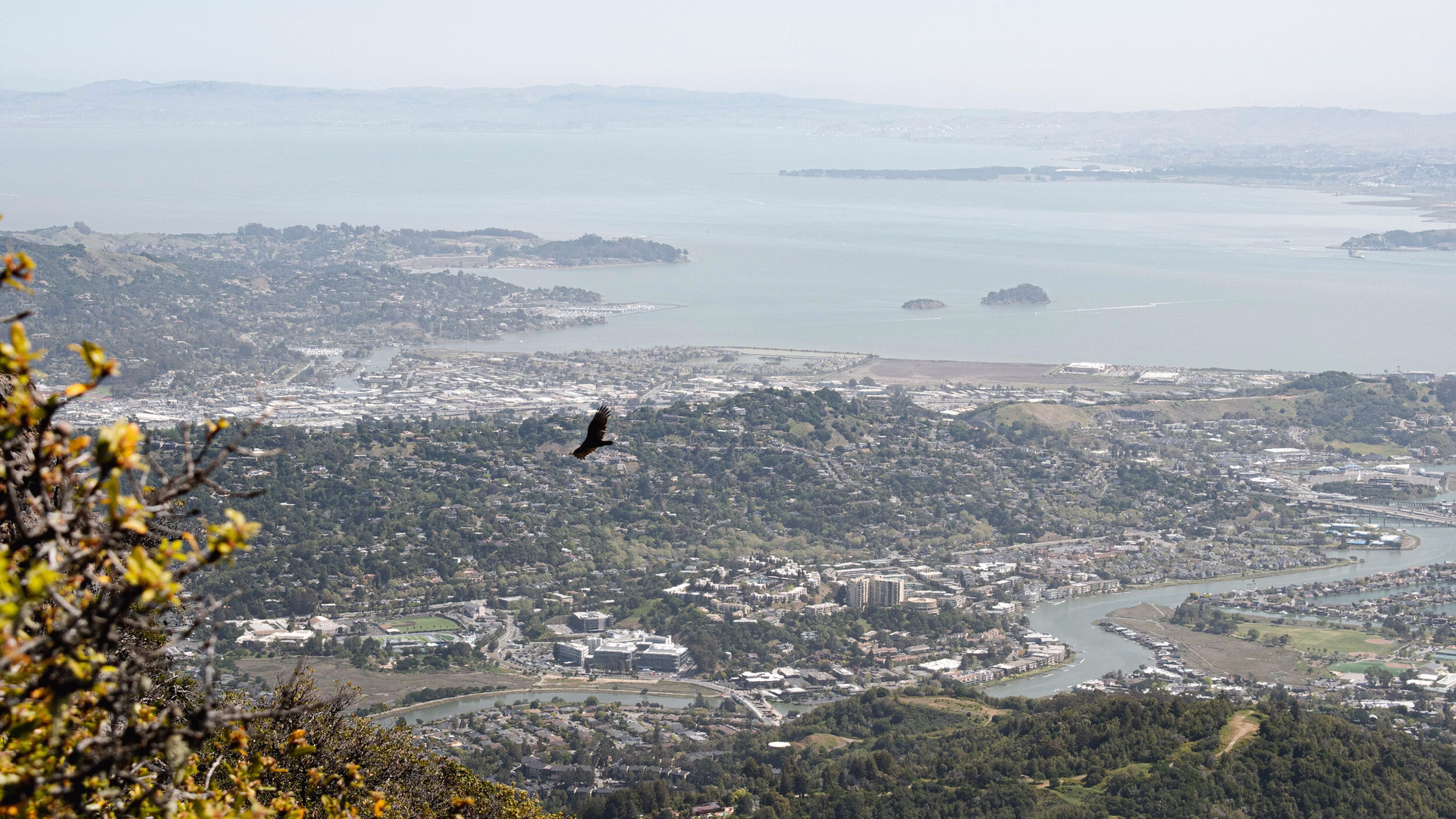 Mount Tamalpais East Peak — photo 1