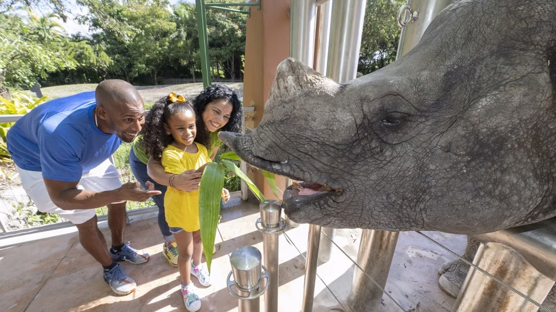 Zoo Miami — photo 2