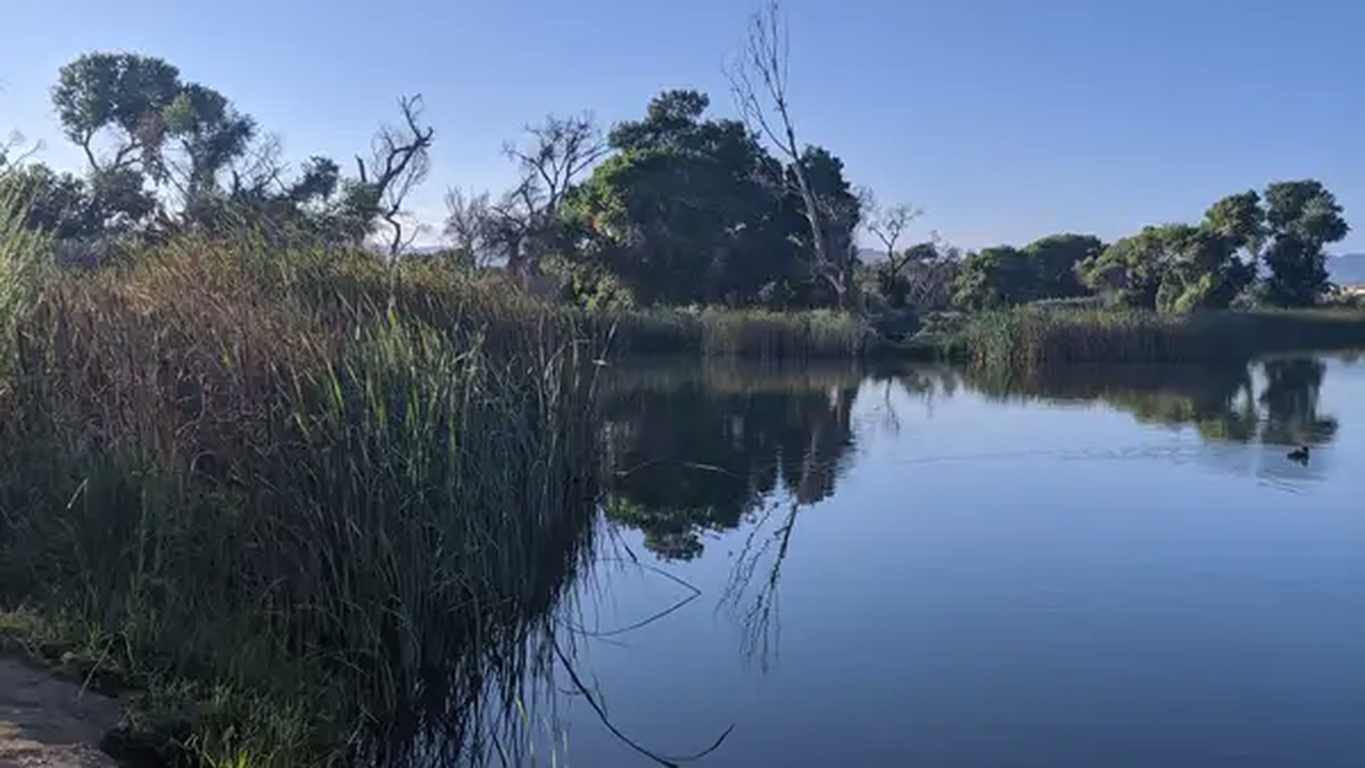 Mojave Narrows Regional Park — photo 1