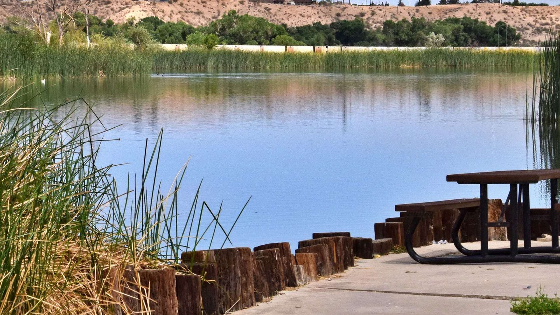 Mojave Narrows Regional Park — photo 2