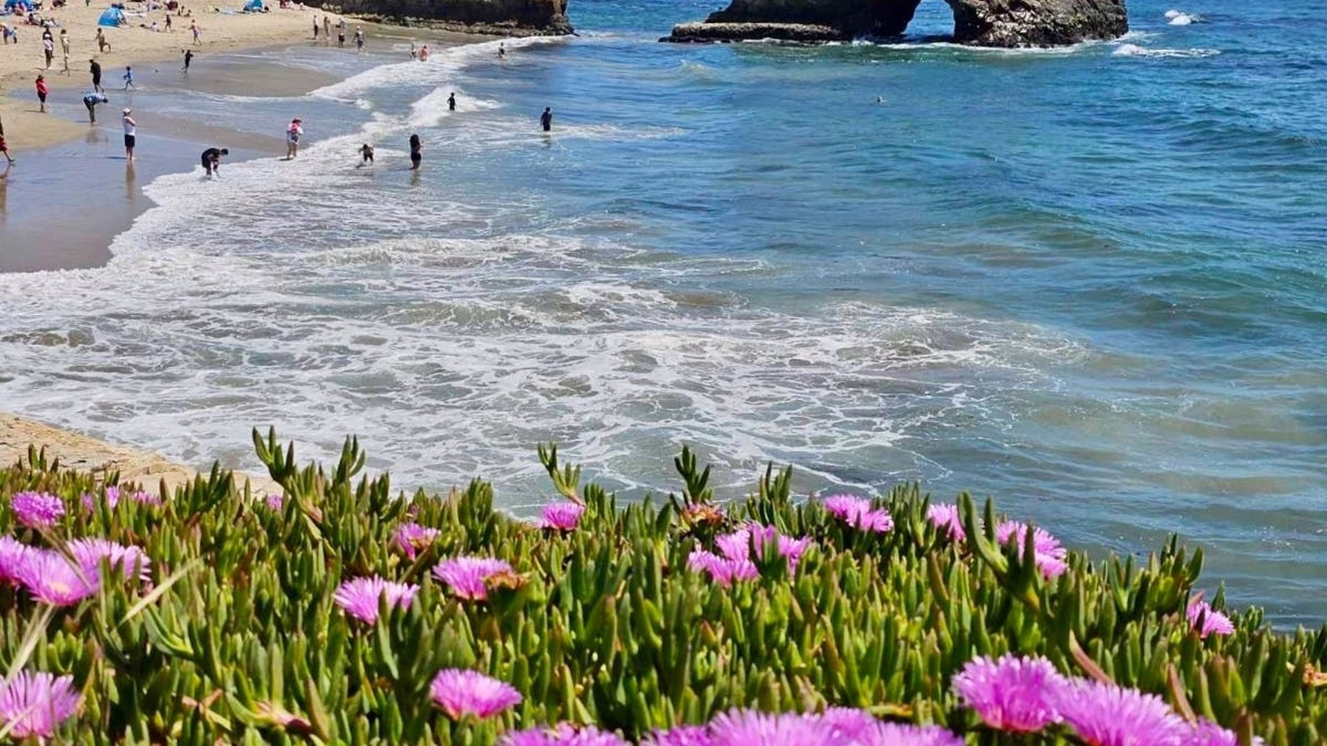 Natural Bridges State Beach — photo 1