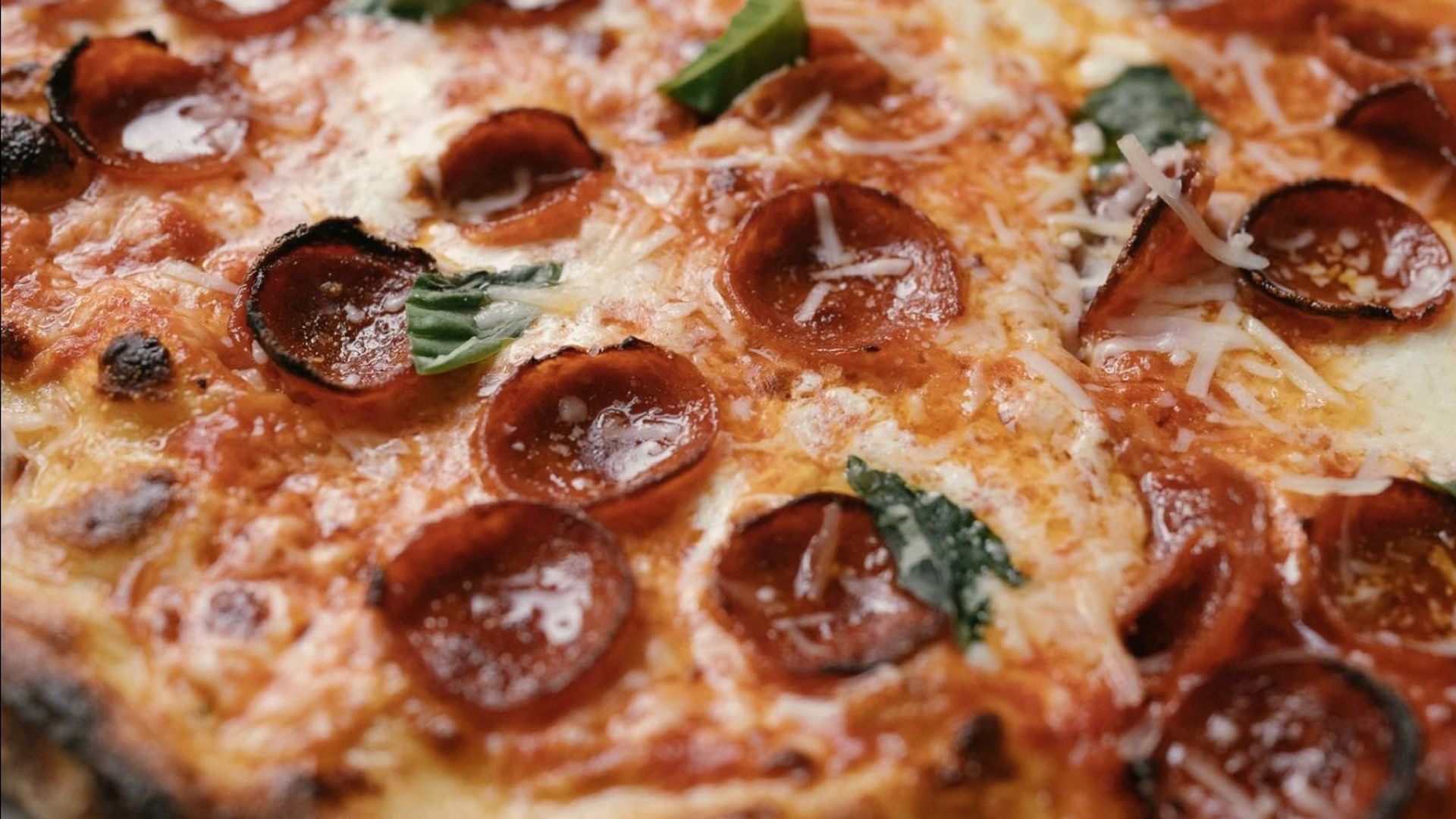 Bird Pizzeria — photo 1