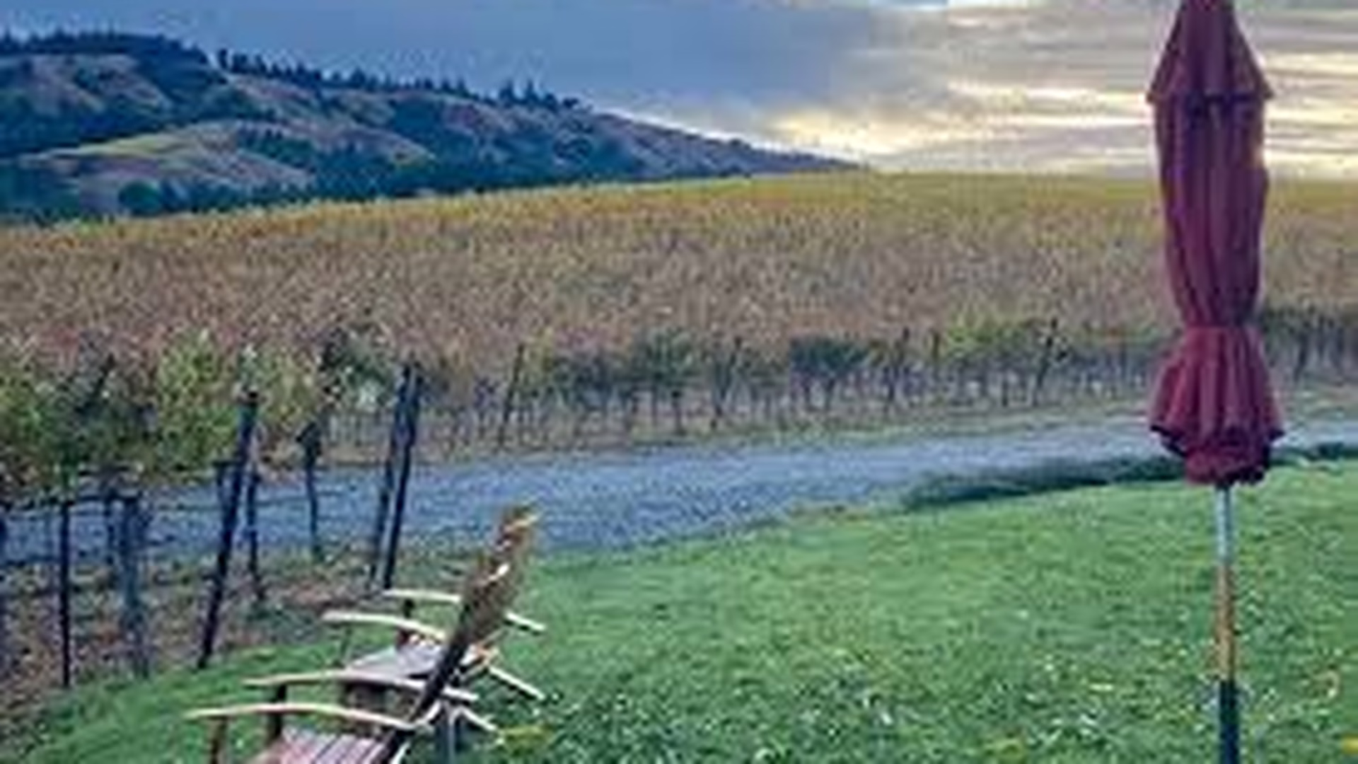 Navarro Vineyards & Winery — photo 1