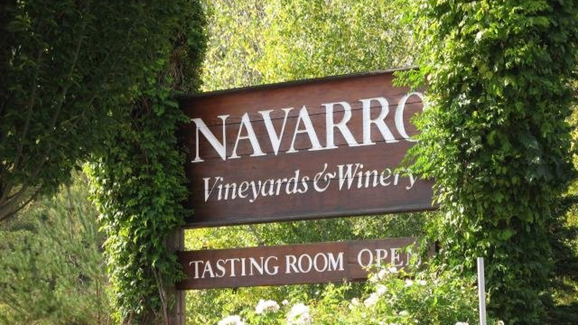 Navarro Vineyards & Winery — photo 2