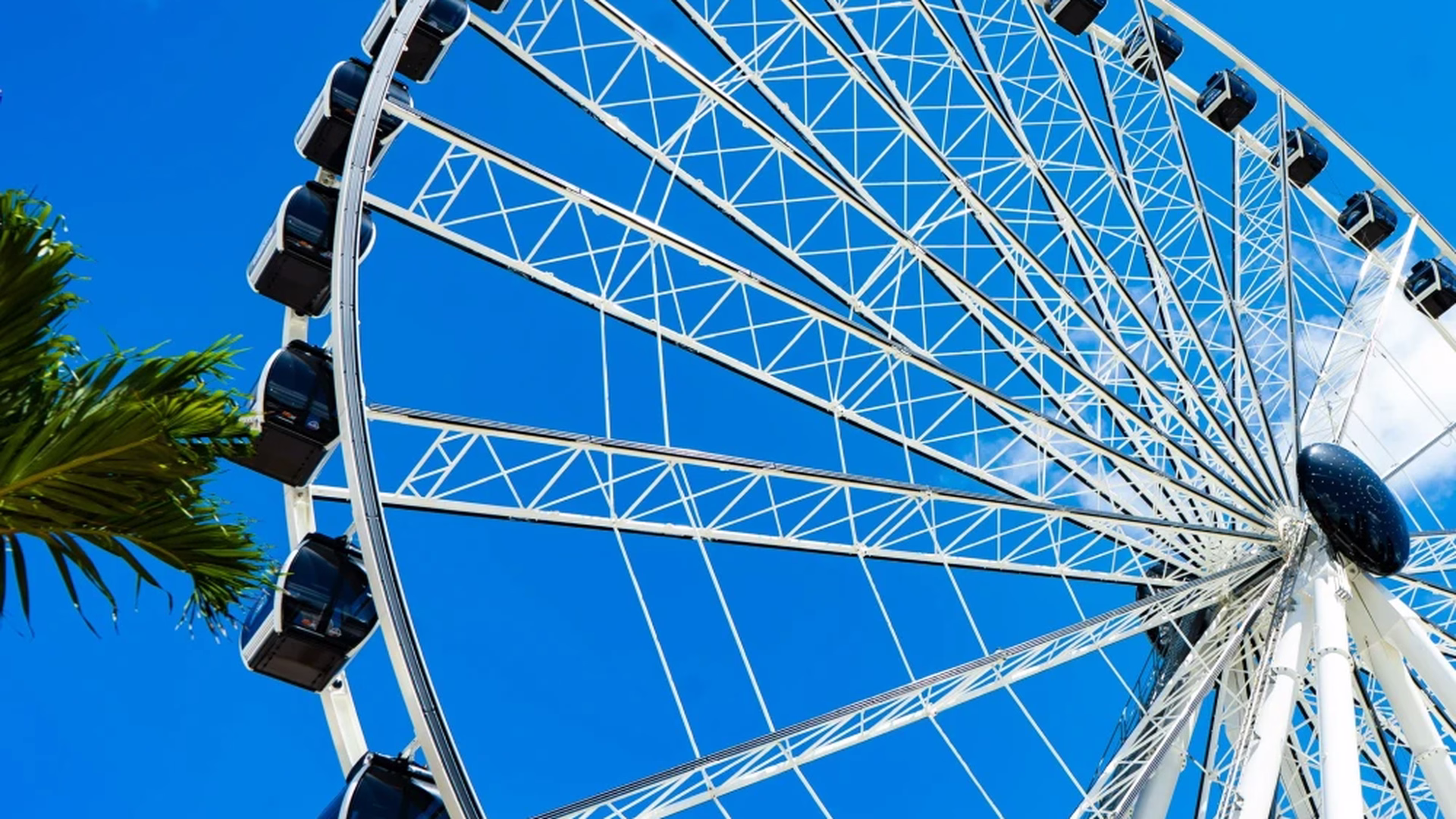 Skyviews Miami Observation Wheel — photo 1