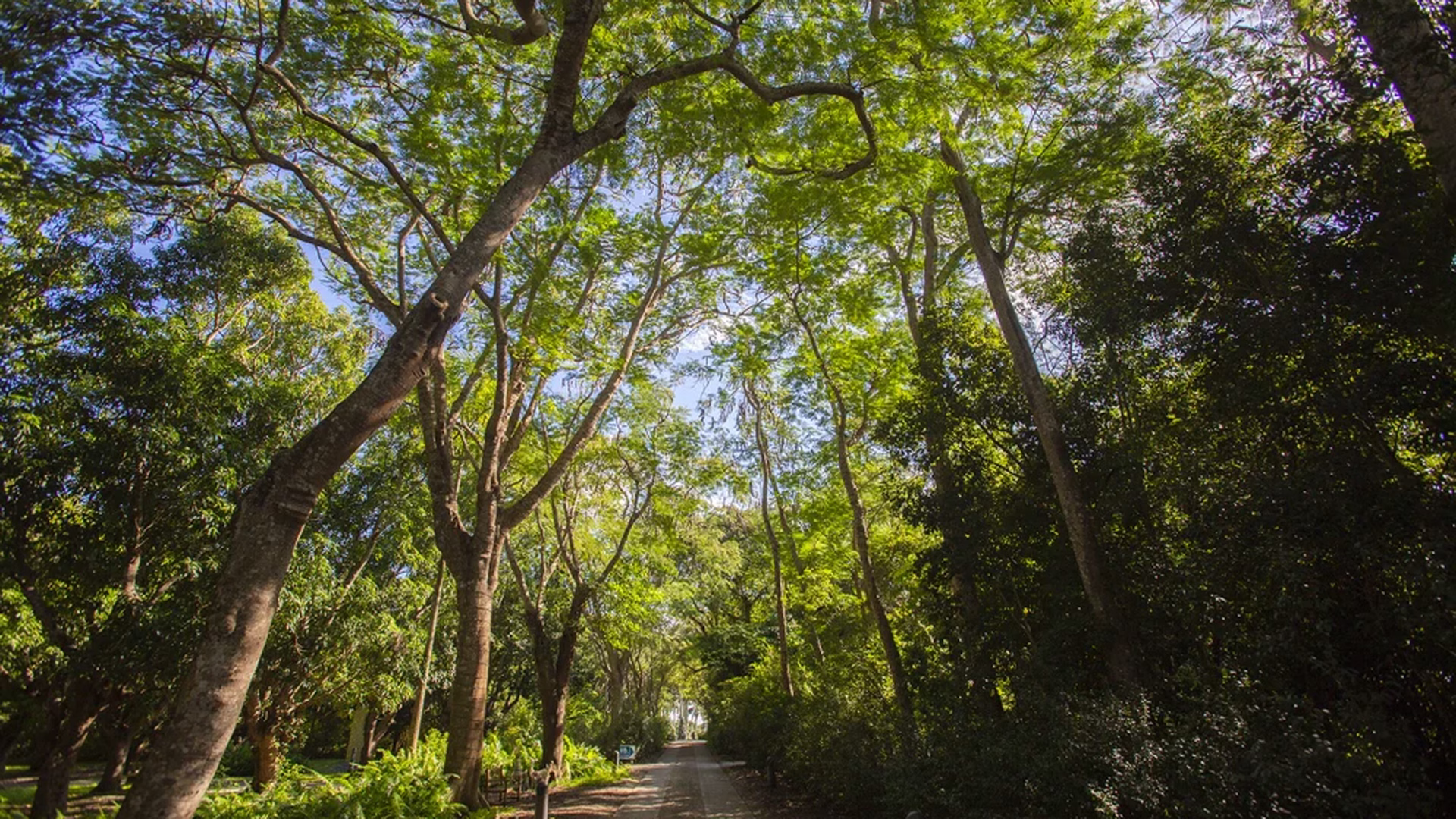 Deering Estate — photo 2
