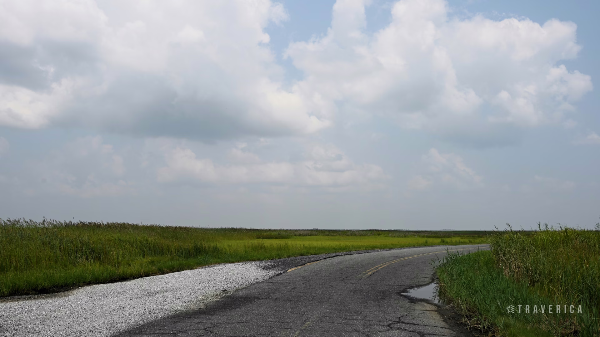 Blackwater National Wildlife Refuge — photo 2